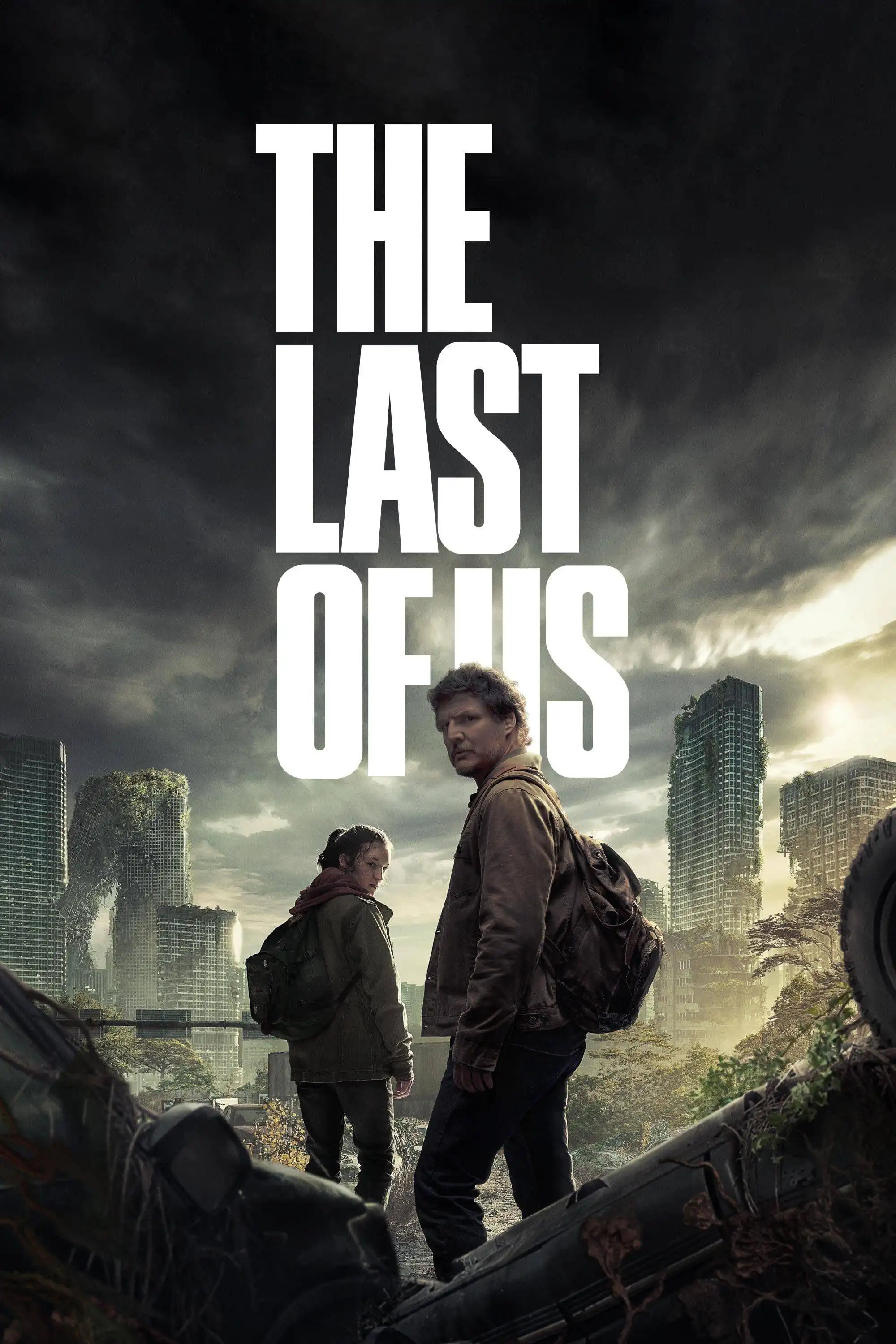 The Last of Us Background (Poster)