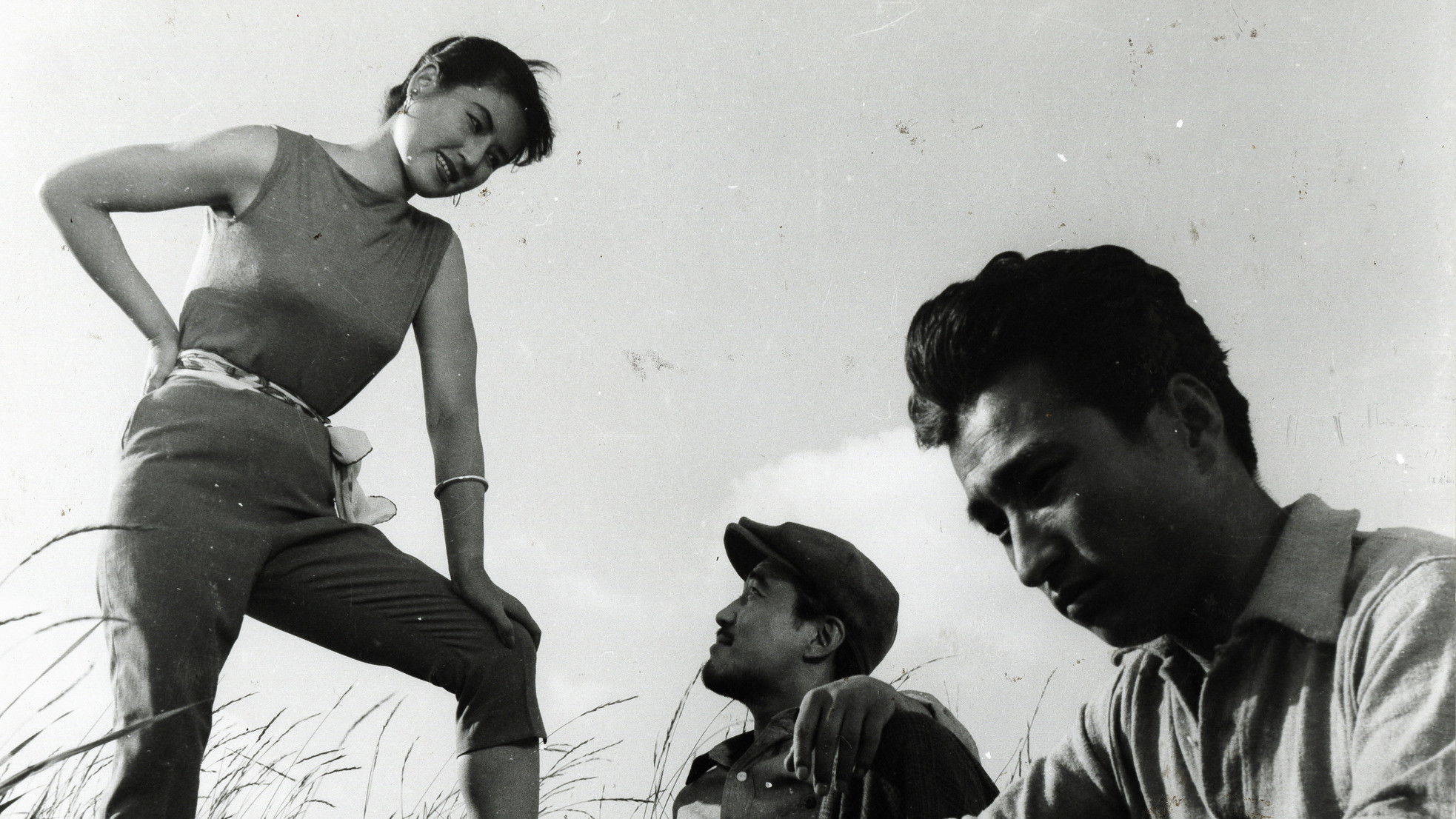 The Flower in Hell Background