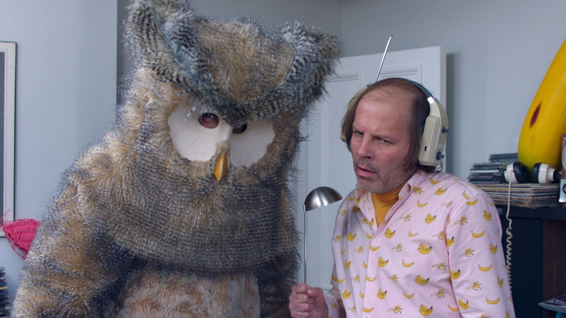 Owl You Need Is Love Background