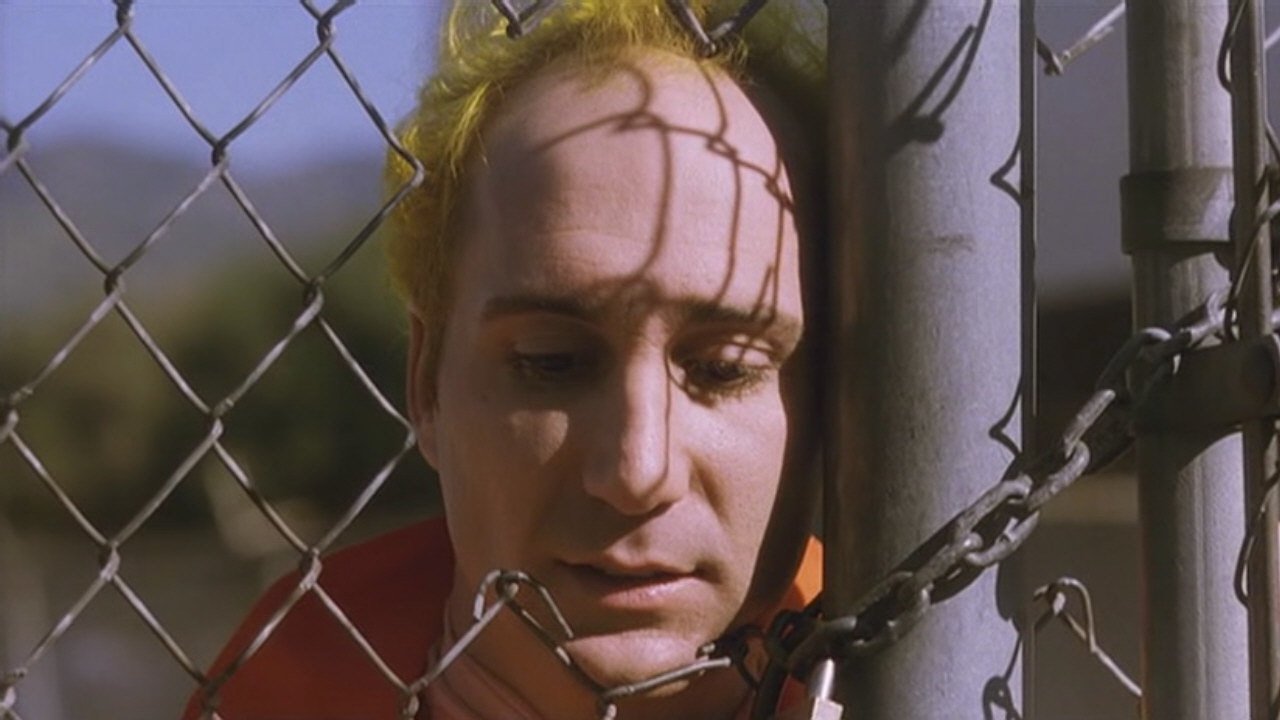 The Thin Pink Line Background