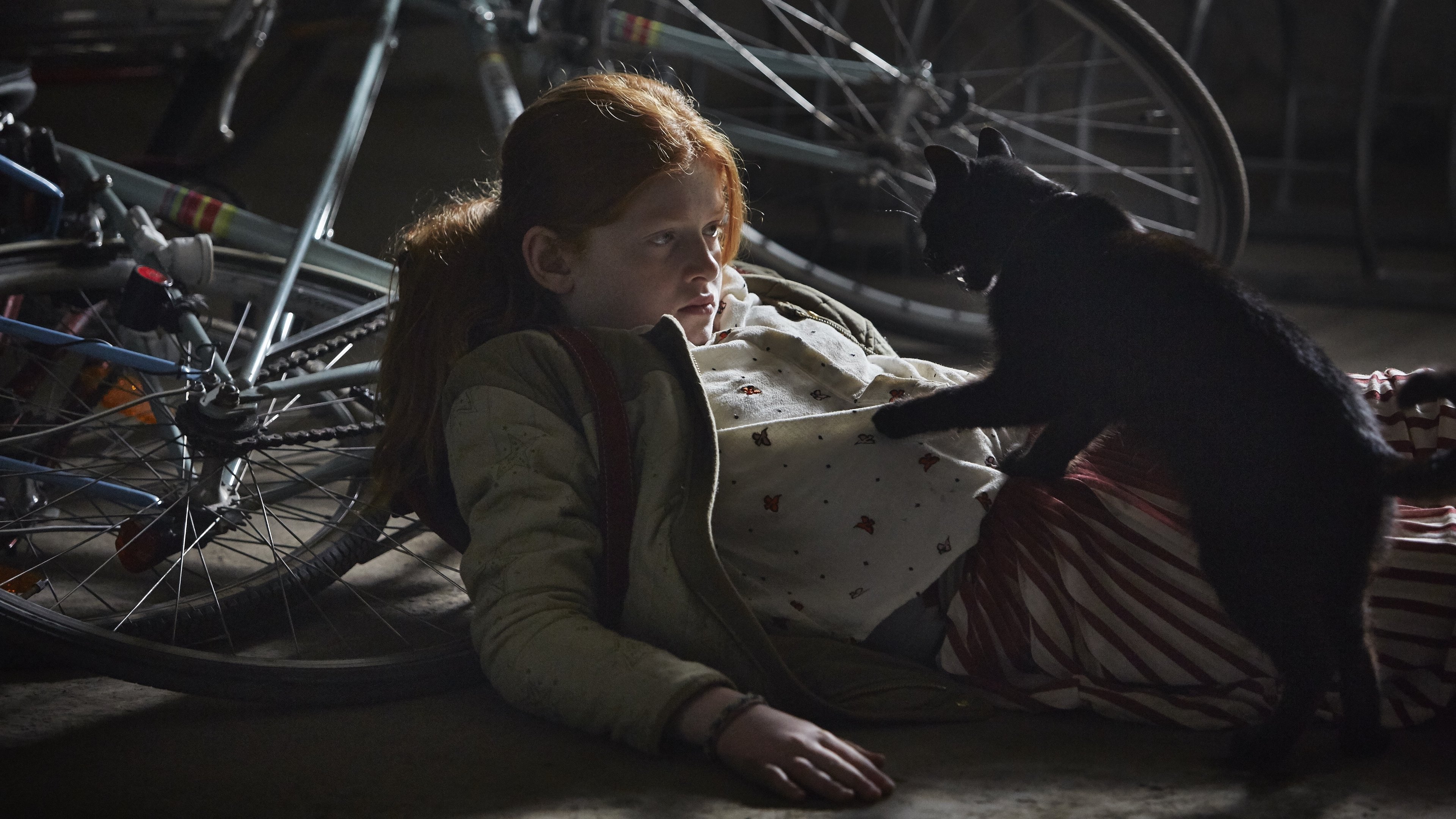 Wildwitch Background