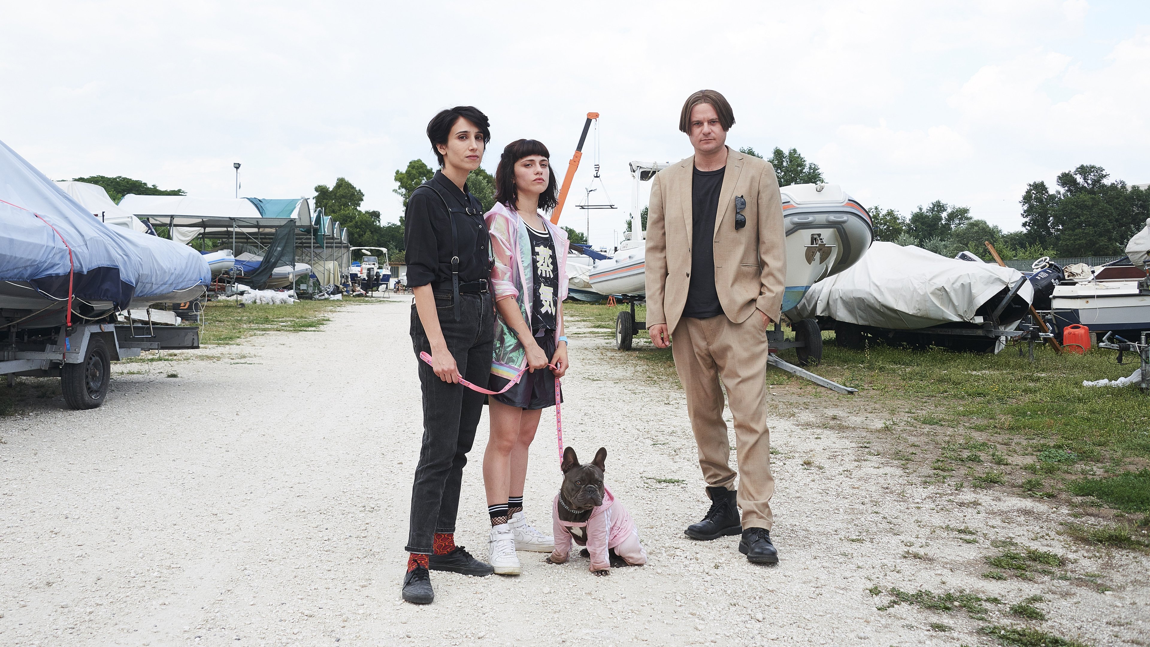 The Dog Snatch Background