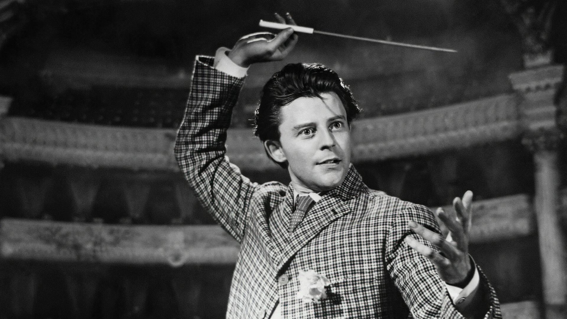 Beauties of the Night Background