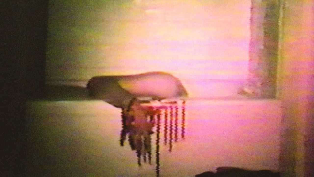 Cannibal Orgy Background