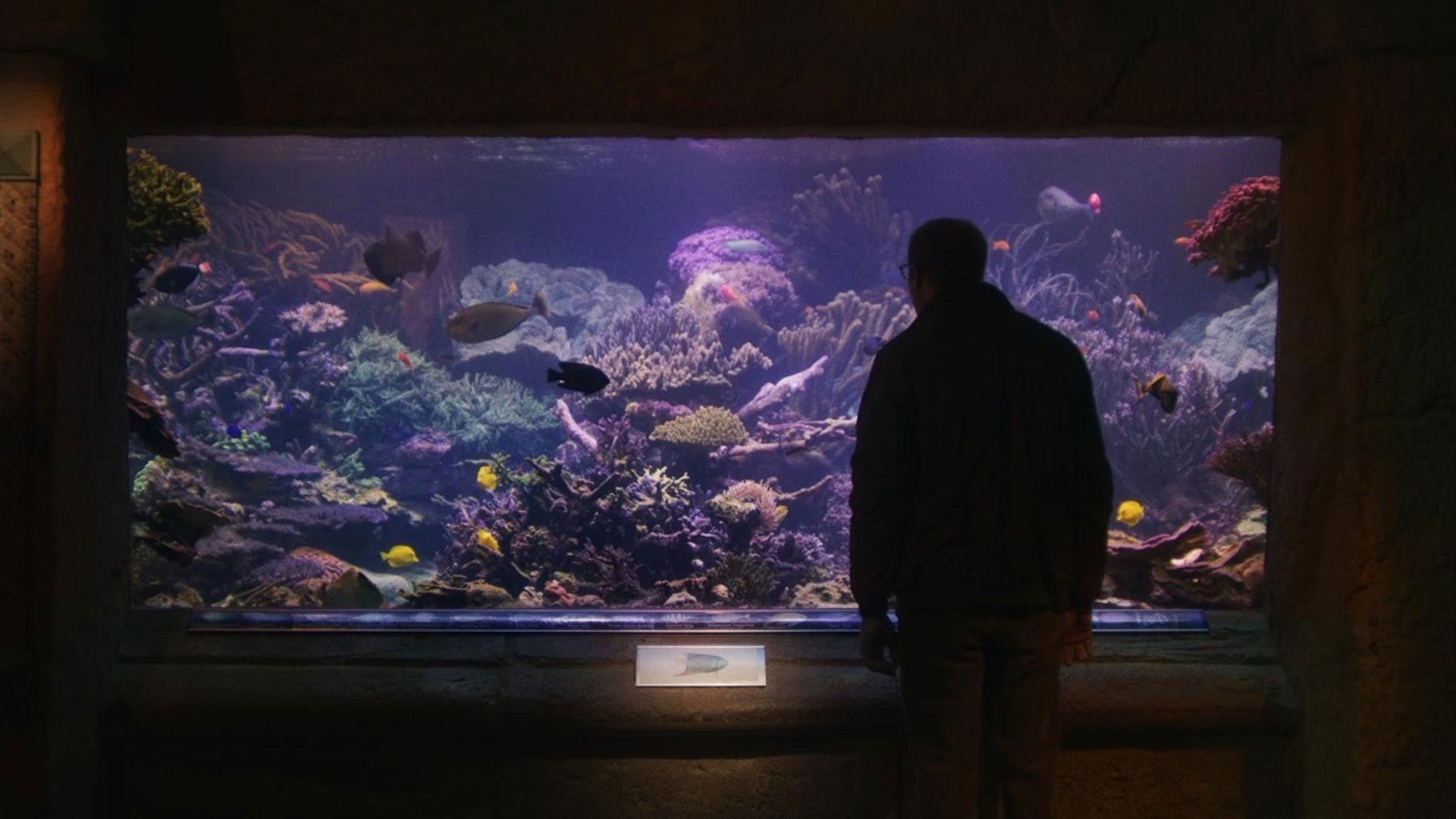 Relaxing Old Footage With Joe Pera Background