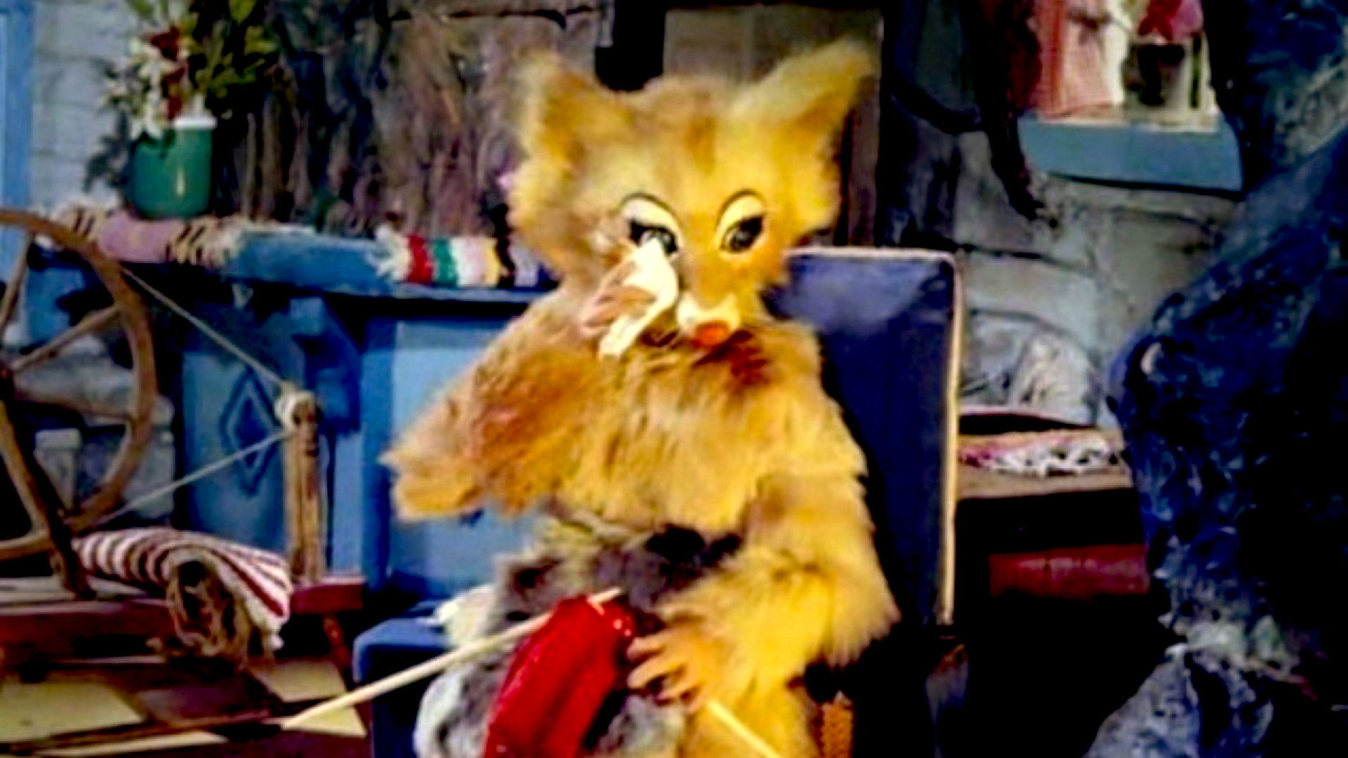 The Fox's Widow Background