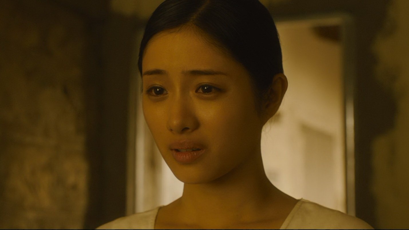 The Lion Standing in the Wind Background