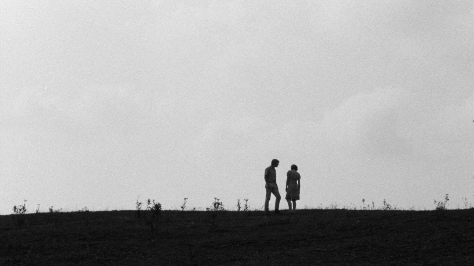 Spring Night, Summer Night Background