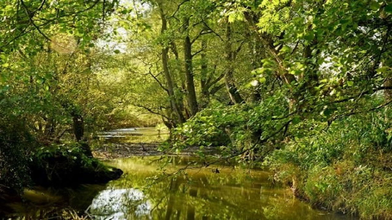 One in a Thousand Background