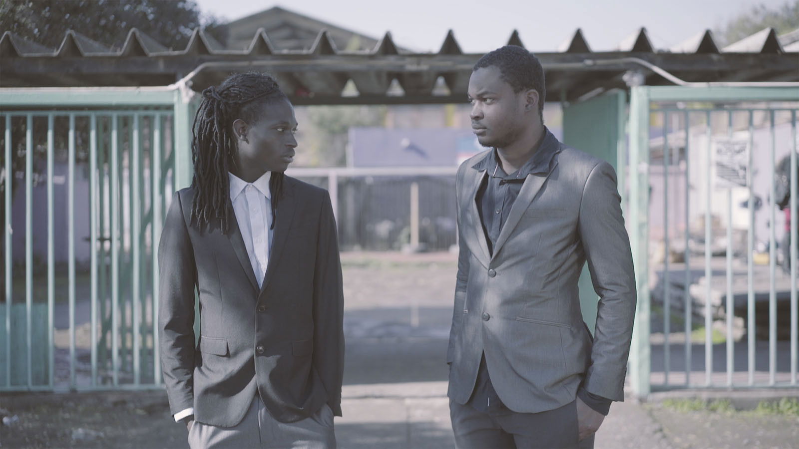 Perro bomba Background