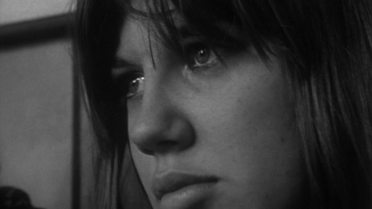 Warrendale Background