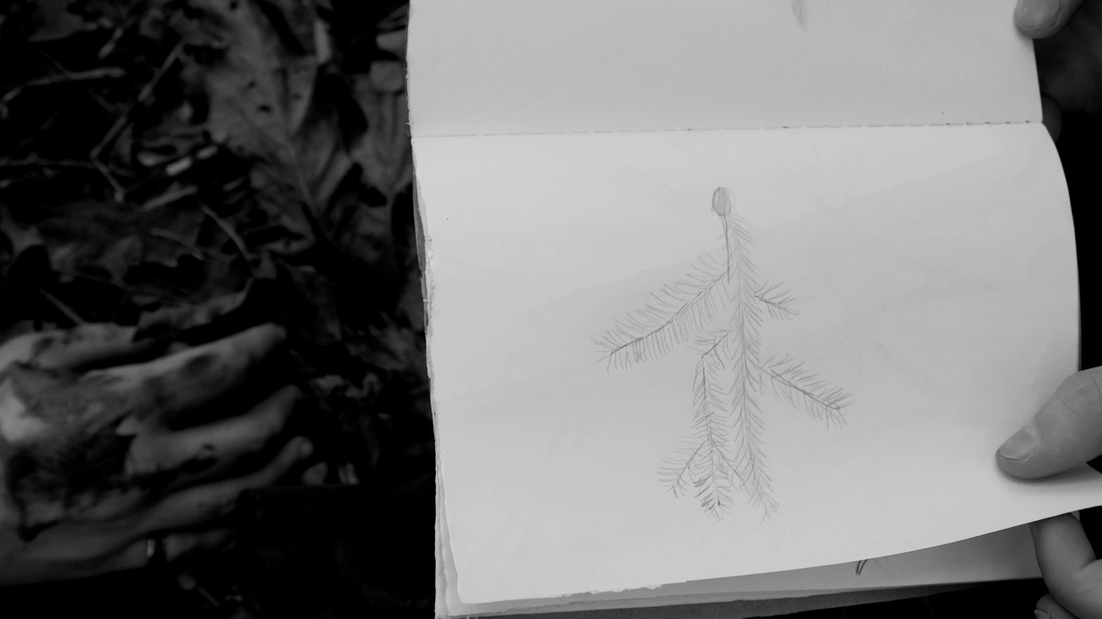 A New War Film Background