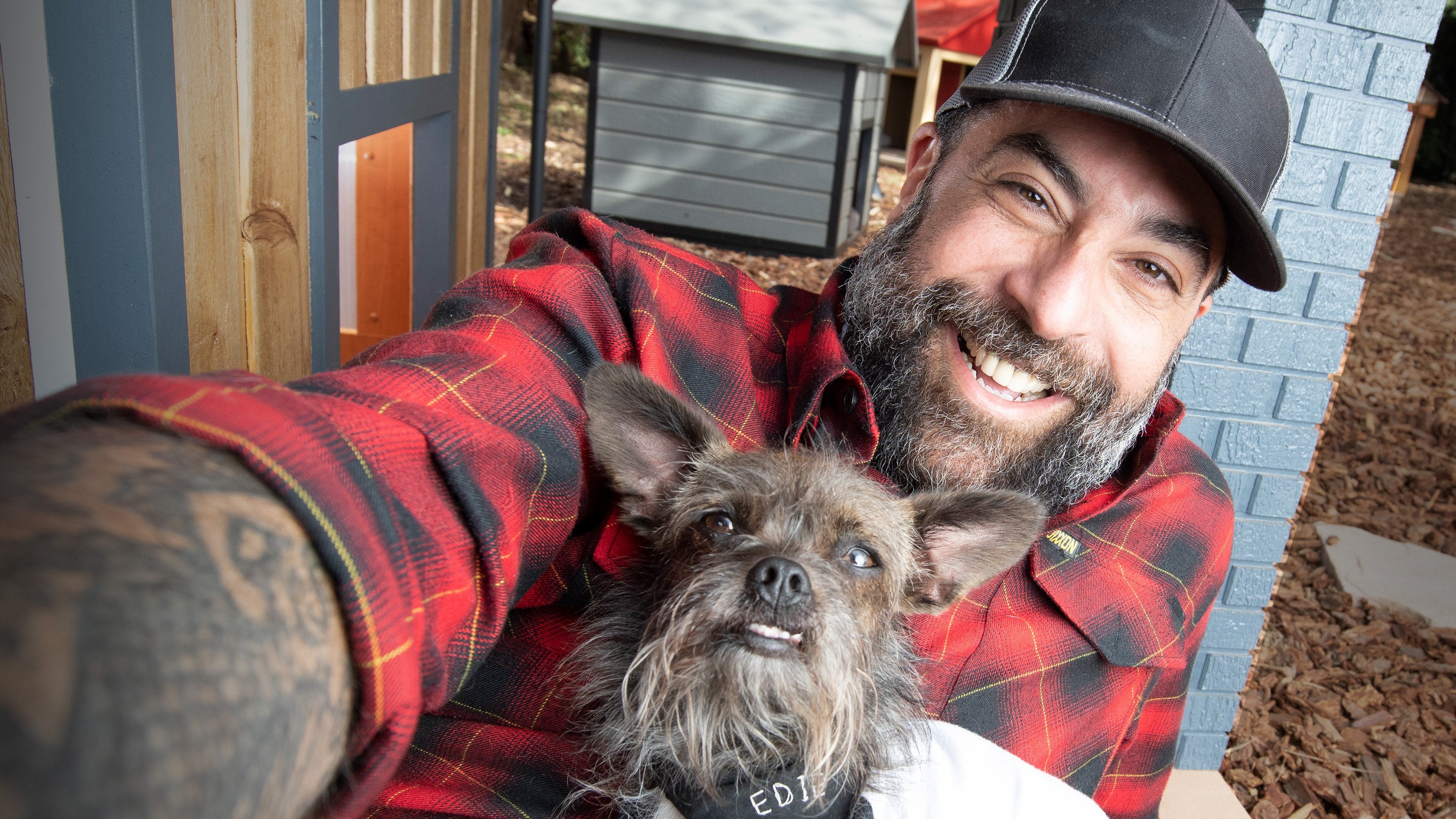 Animal Cribs Background