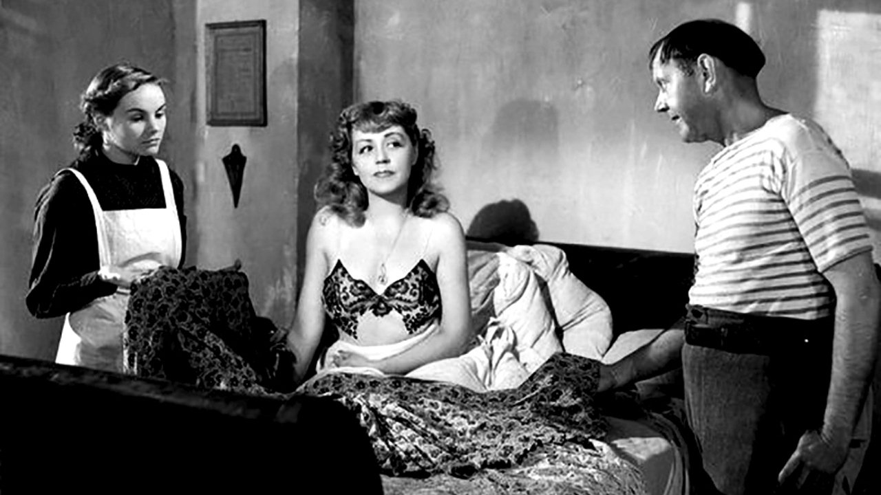 White Paws Background