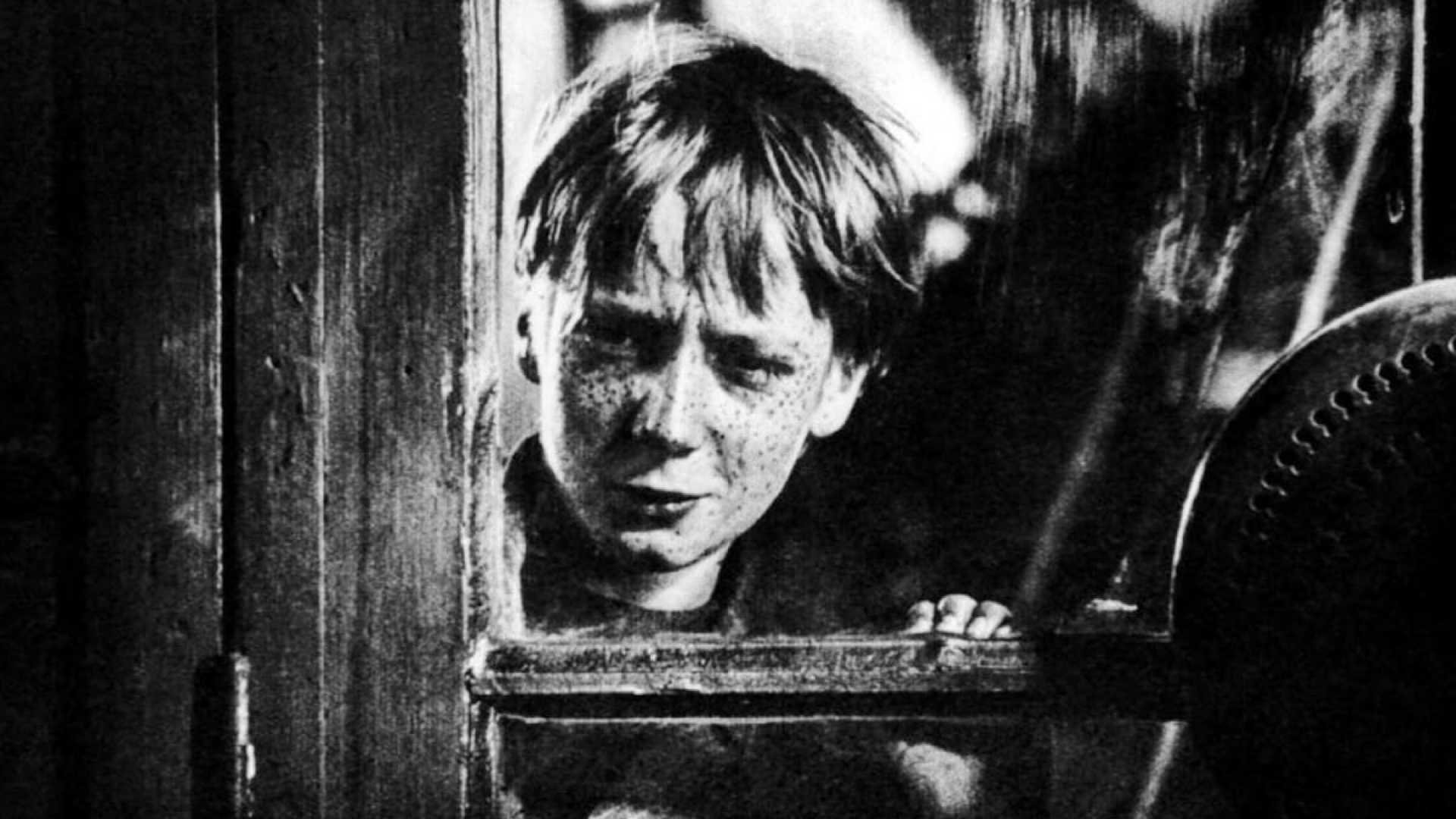 The Red Head Background