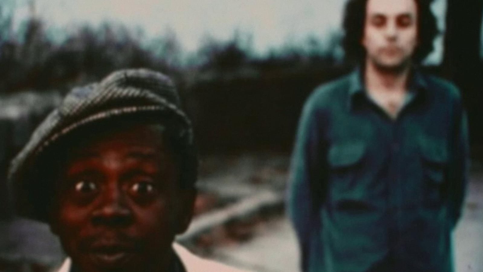 Chinese Viola Background