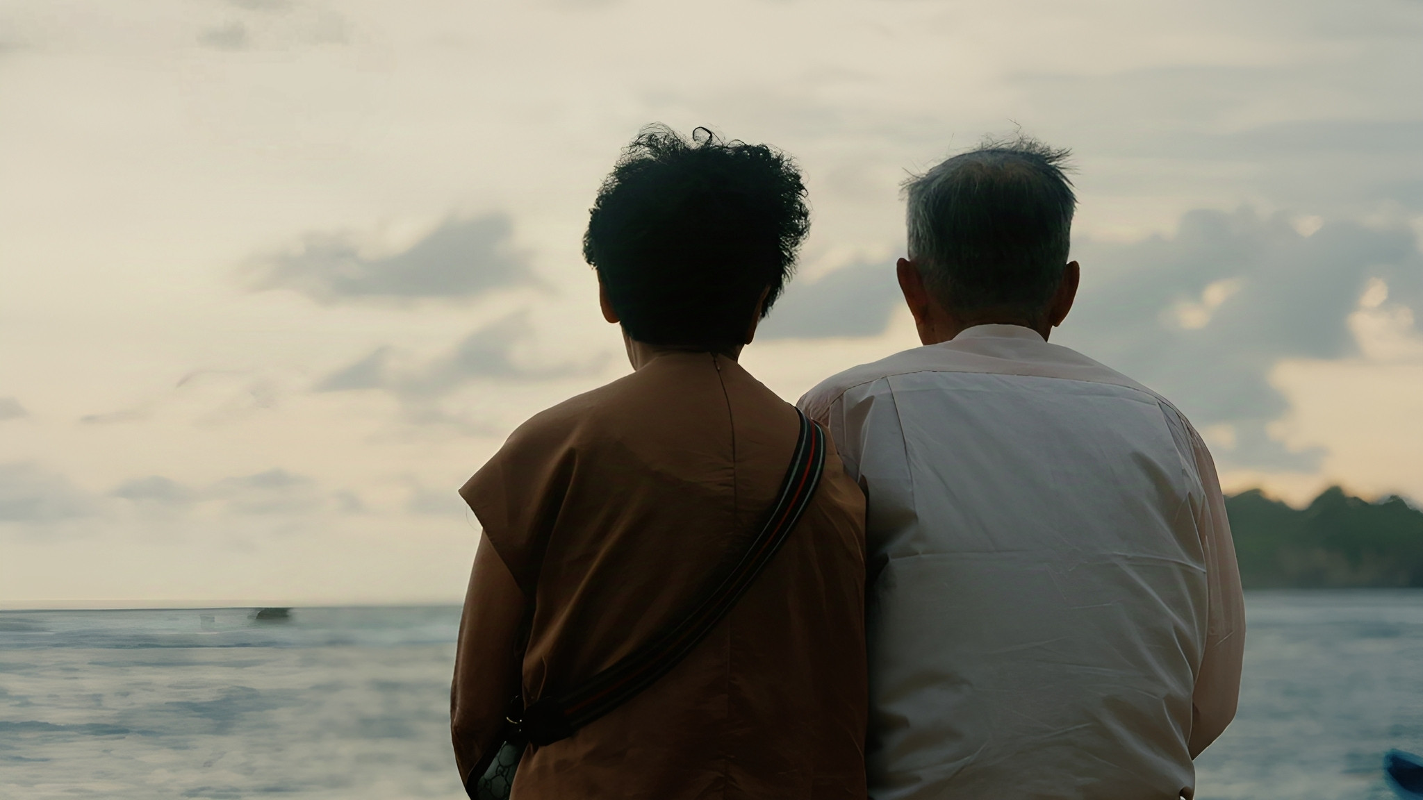 但愿人长久 Background