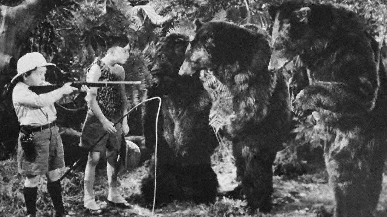 Bear Facts Background