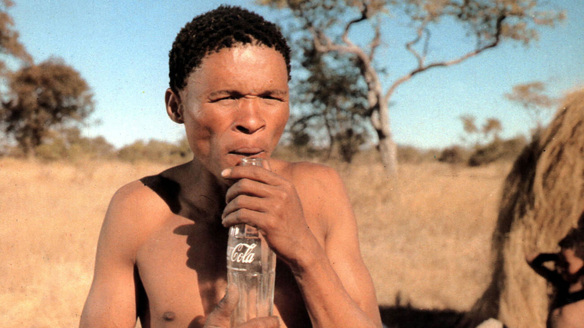 The Gods Must Be Crazy Background