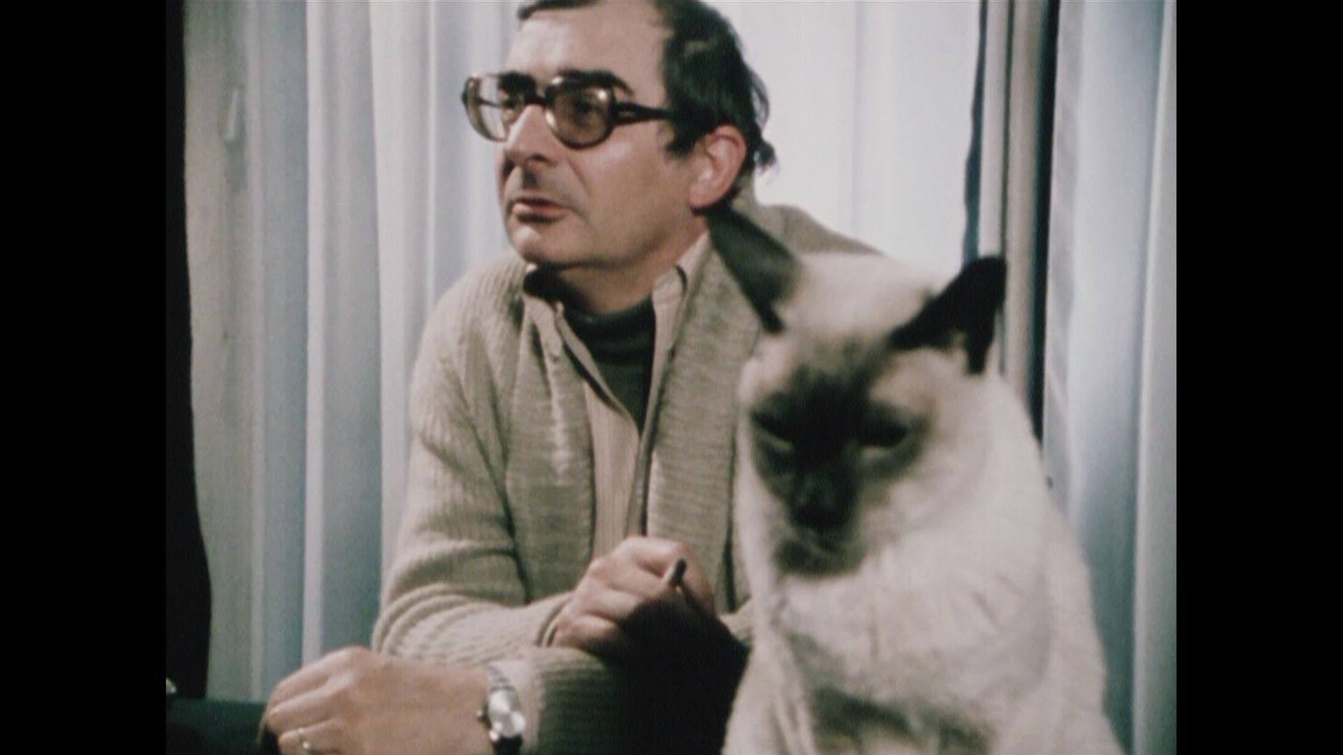 Claude Chabrol, the Maverick Background