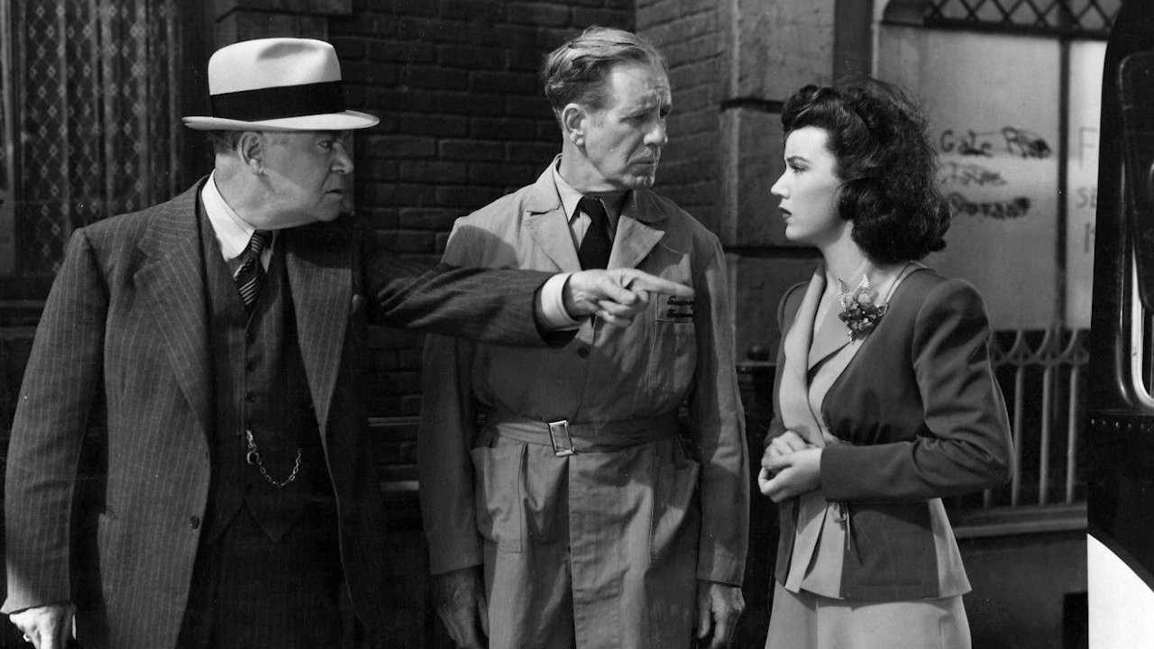 Wildcat Bus Background