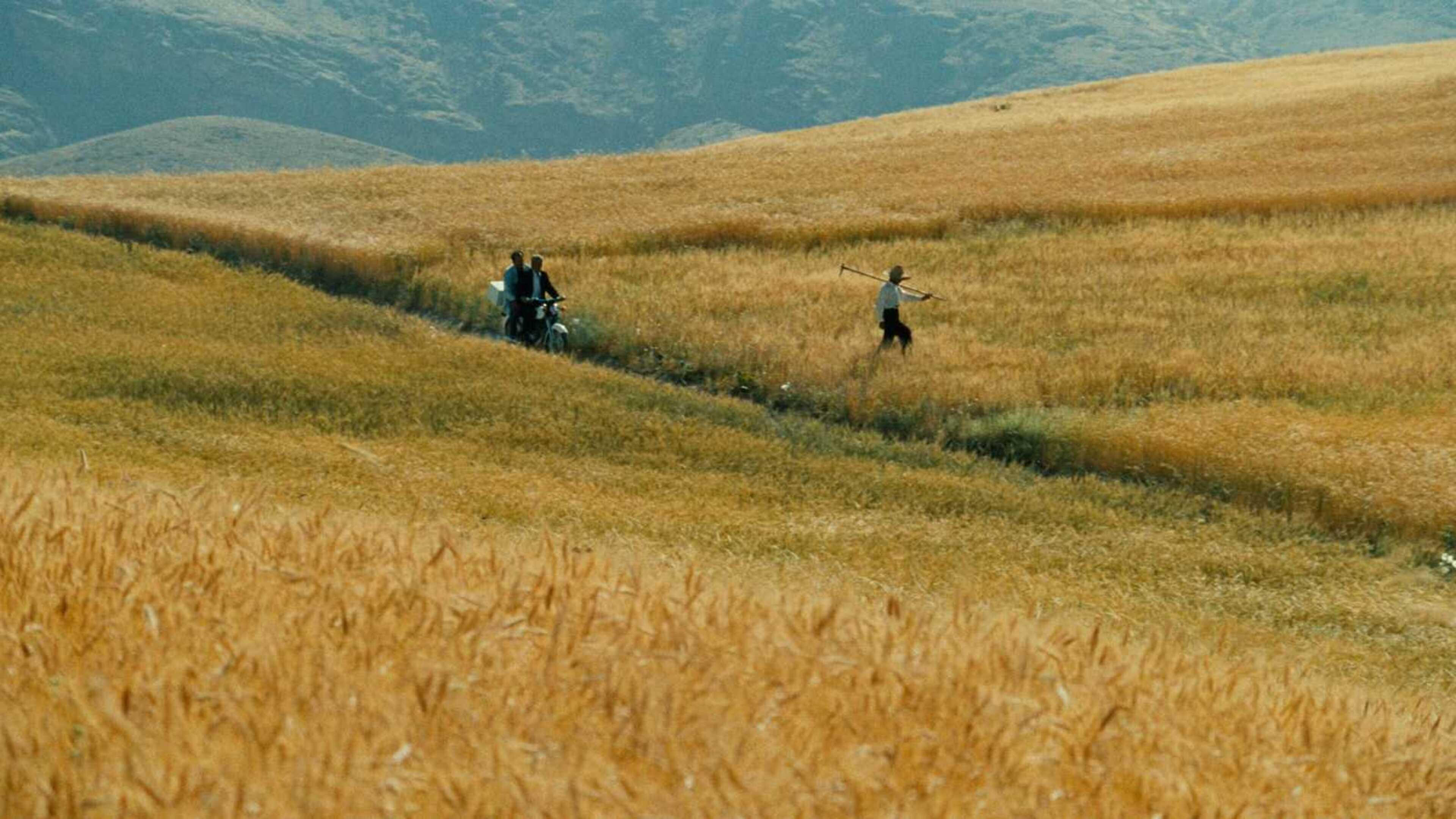 The Wind Will Carry Us Background