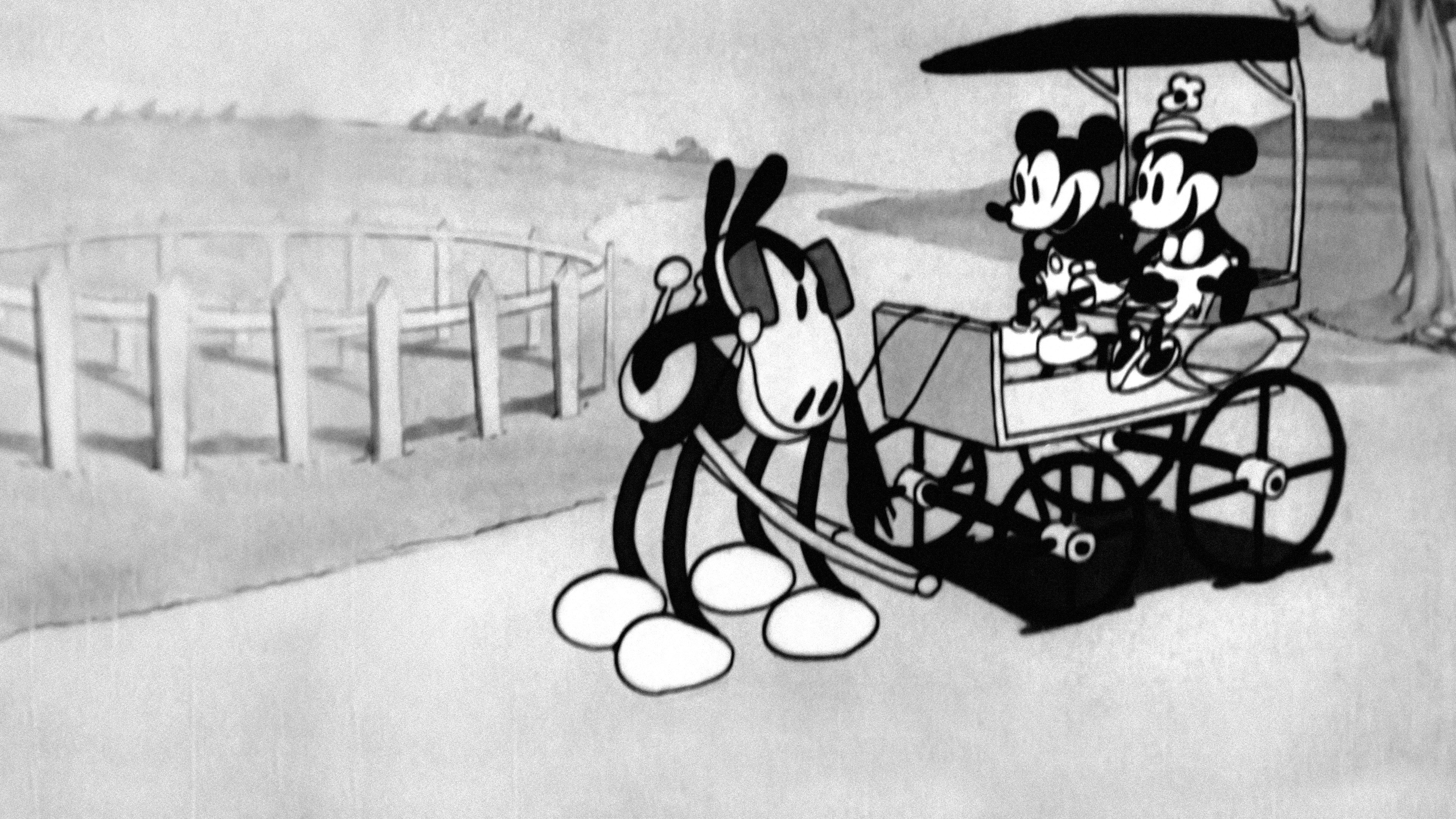 The Barn Dance Background