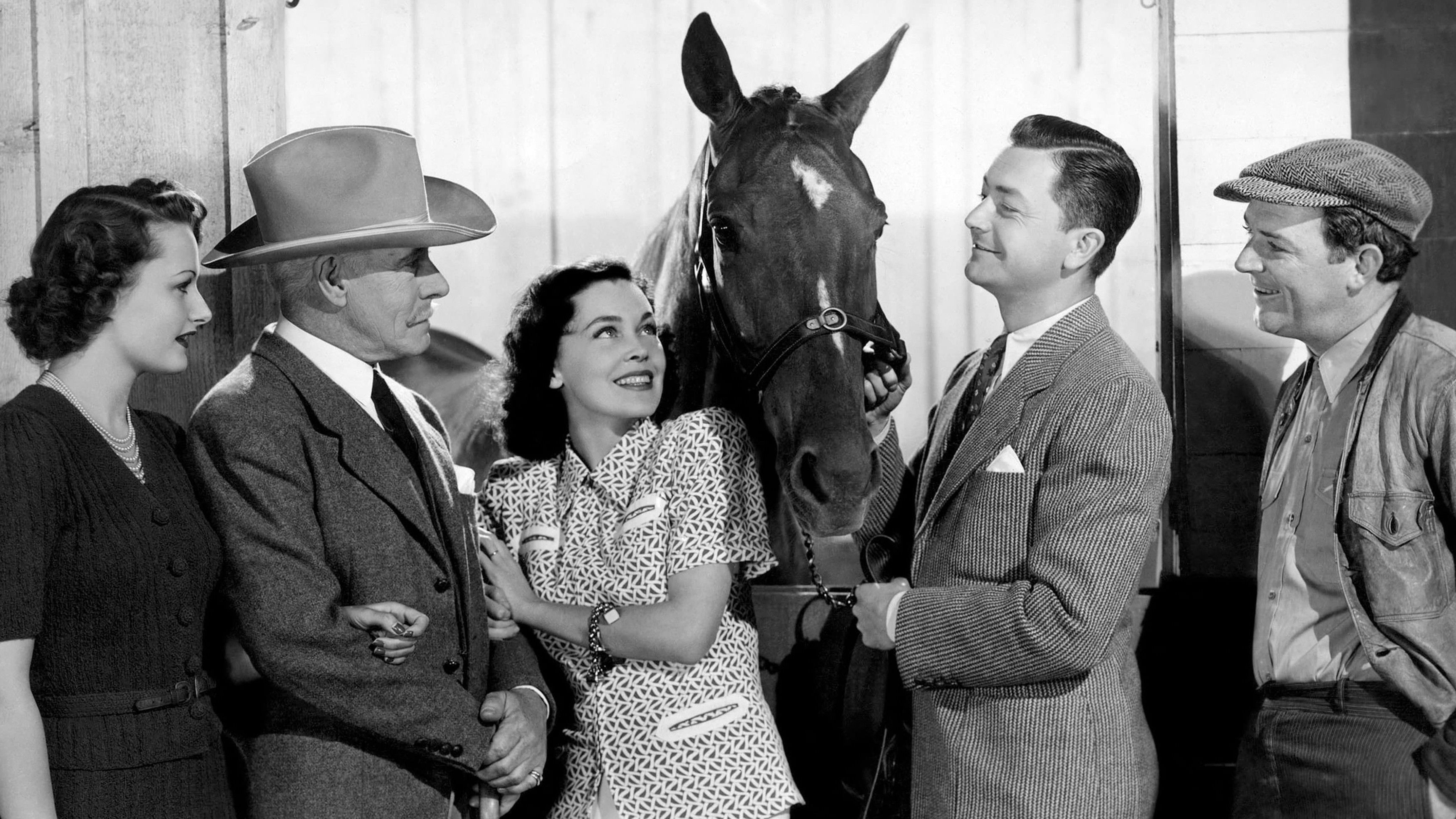 Sporting Blood Background