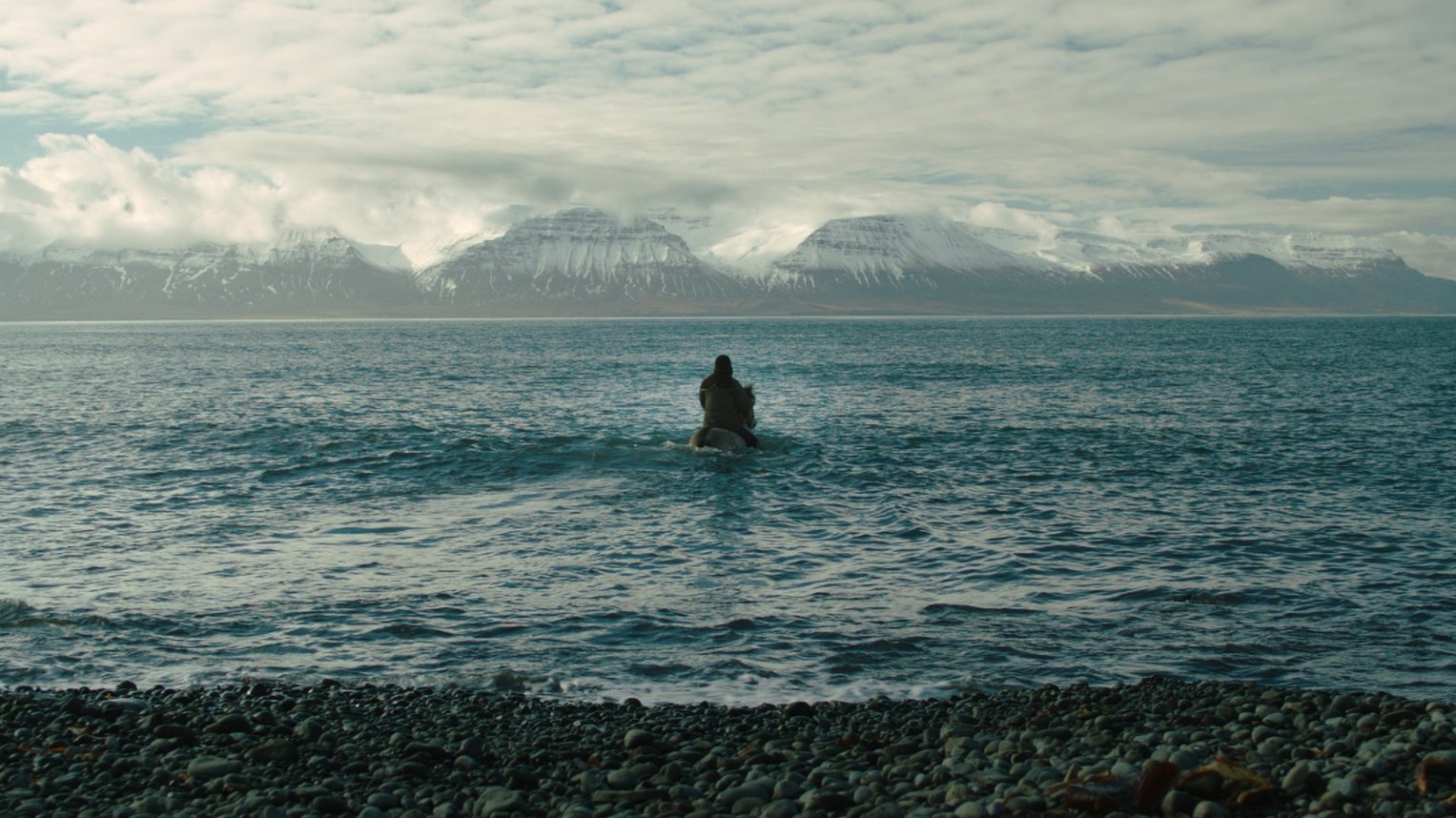 Of Horses and Men Background