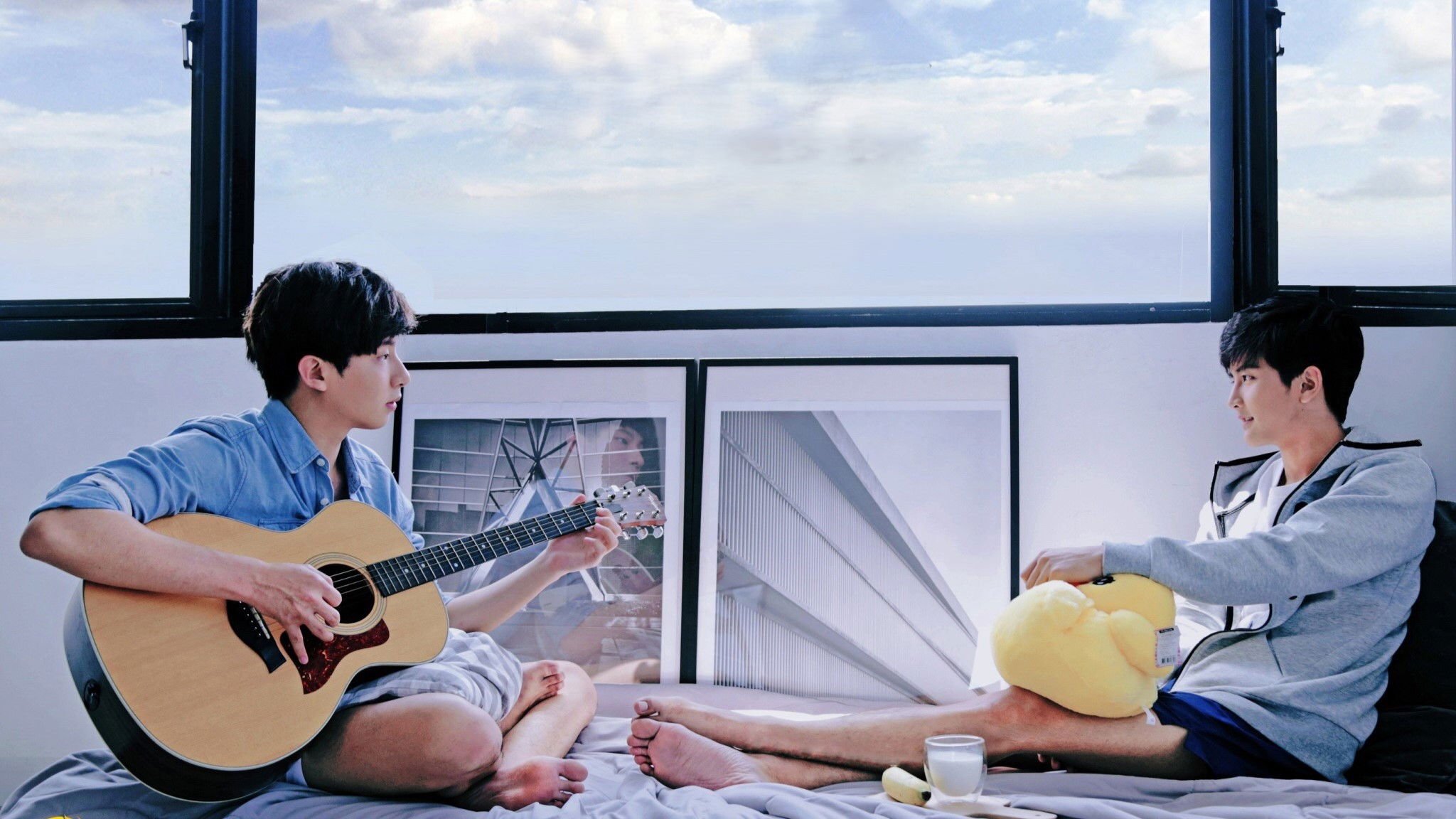 What the Duck Background