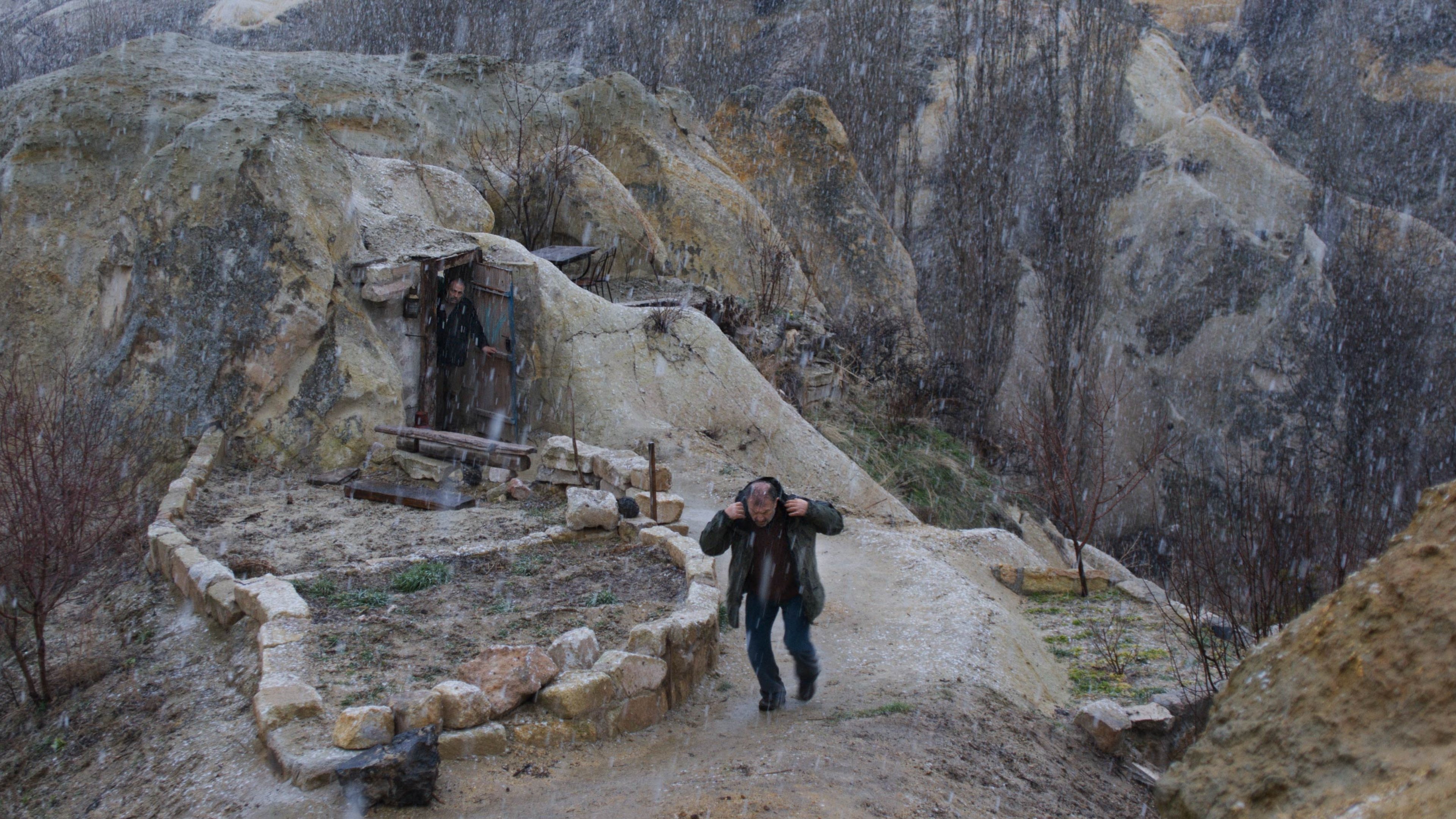 Winter Sleep Background