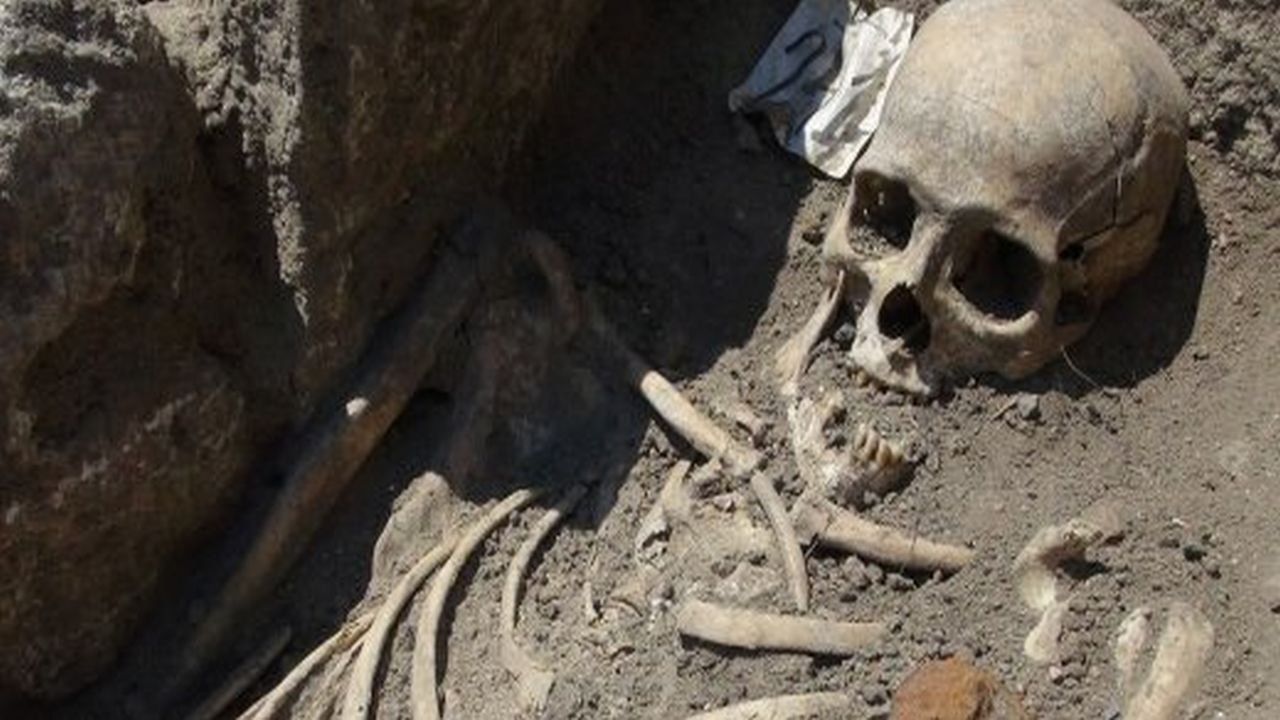 Die Vampirleiche von Venedig Background