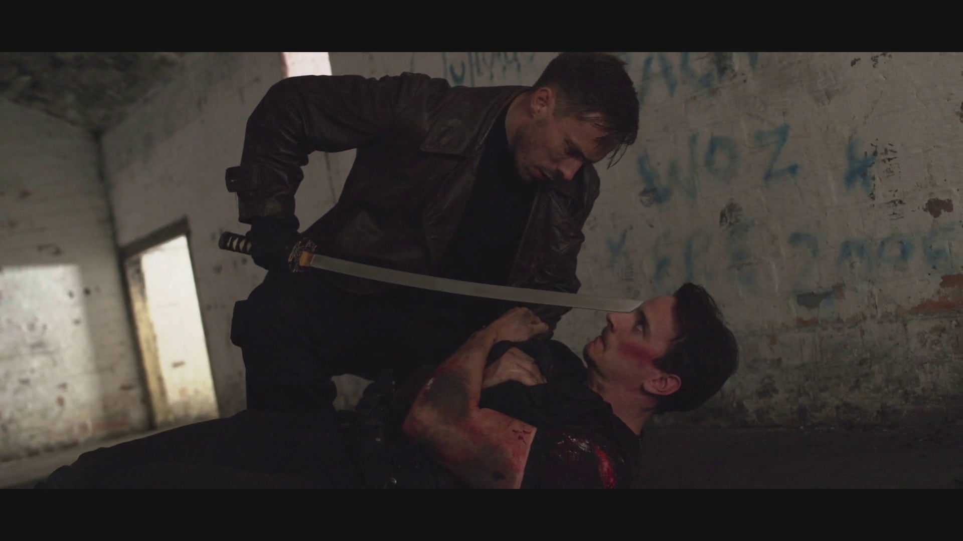 Wrath of Van Helsing Background