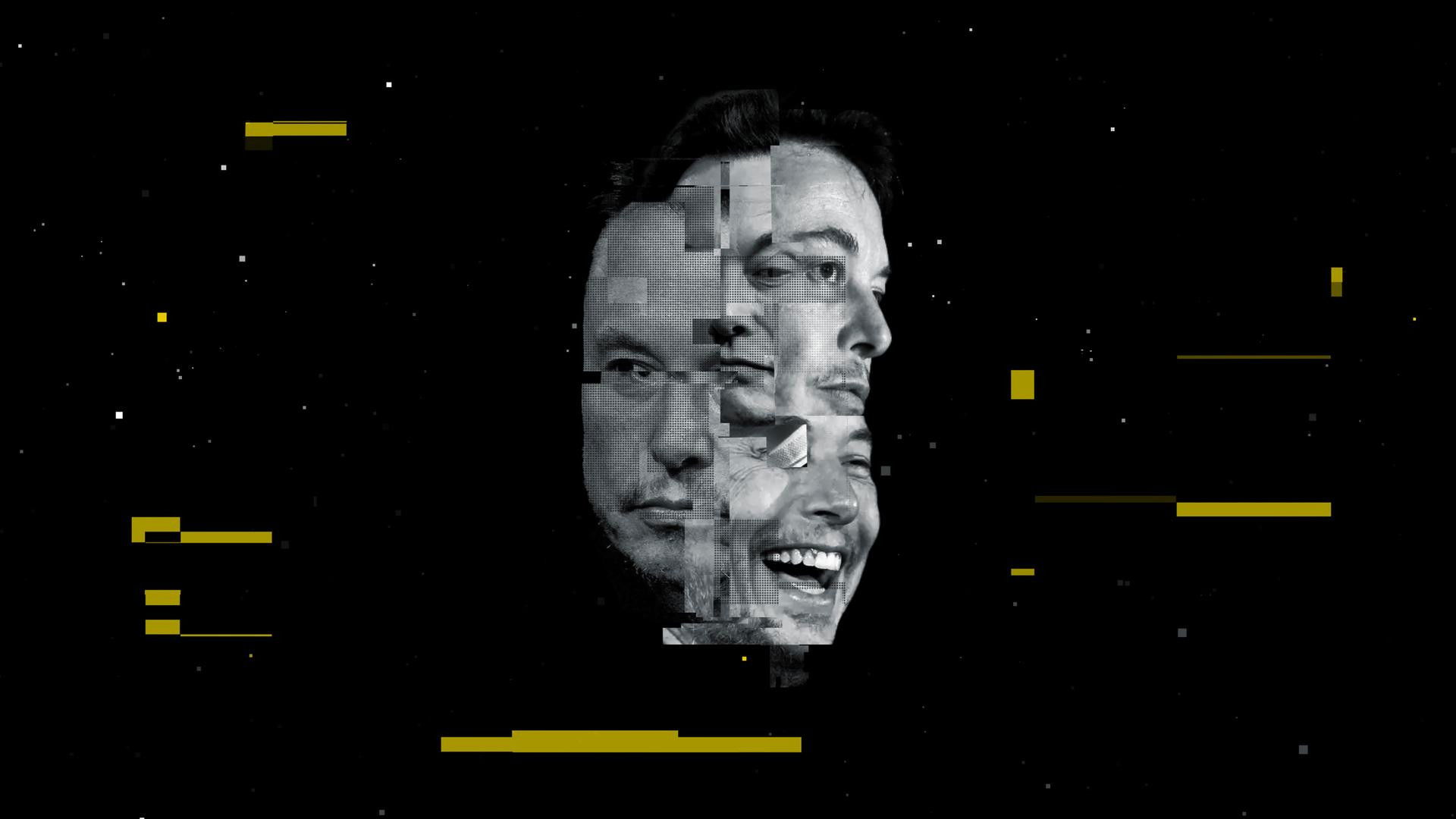 Die Elon-Musk-Story Background