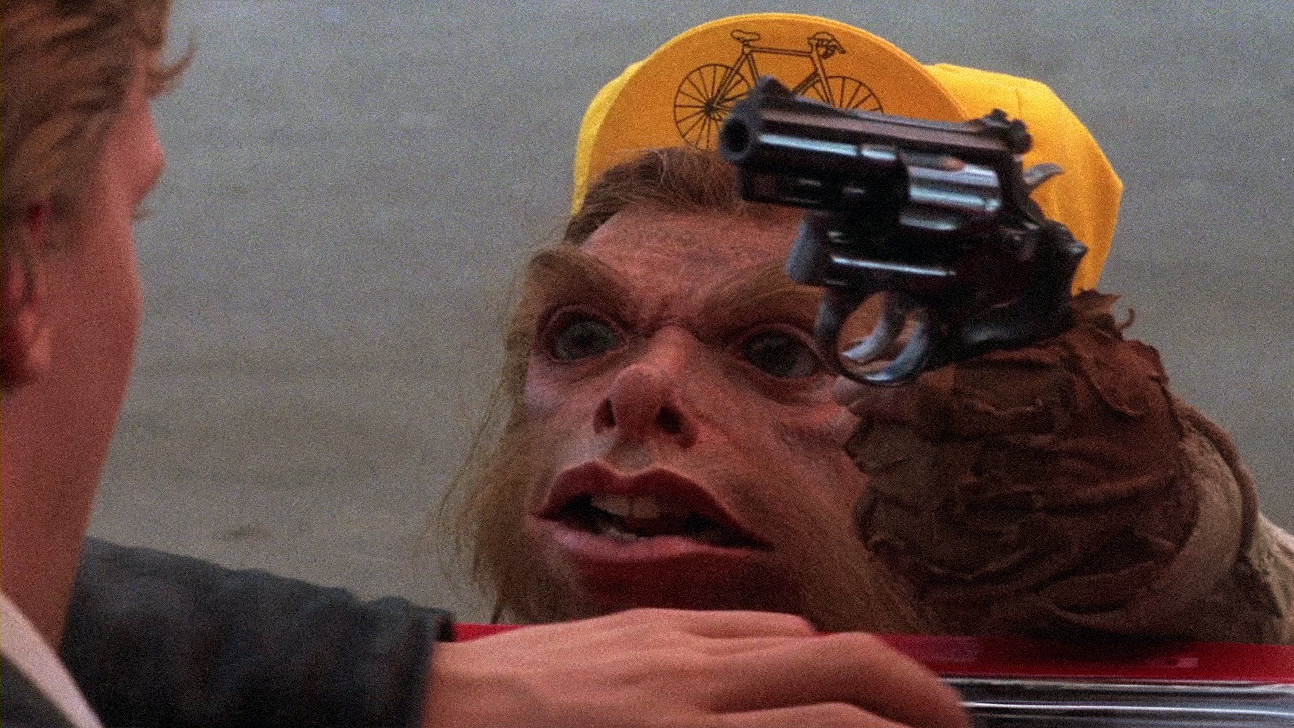 A Gnome Named Gnorm Background