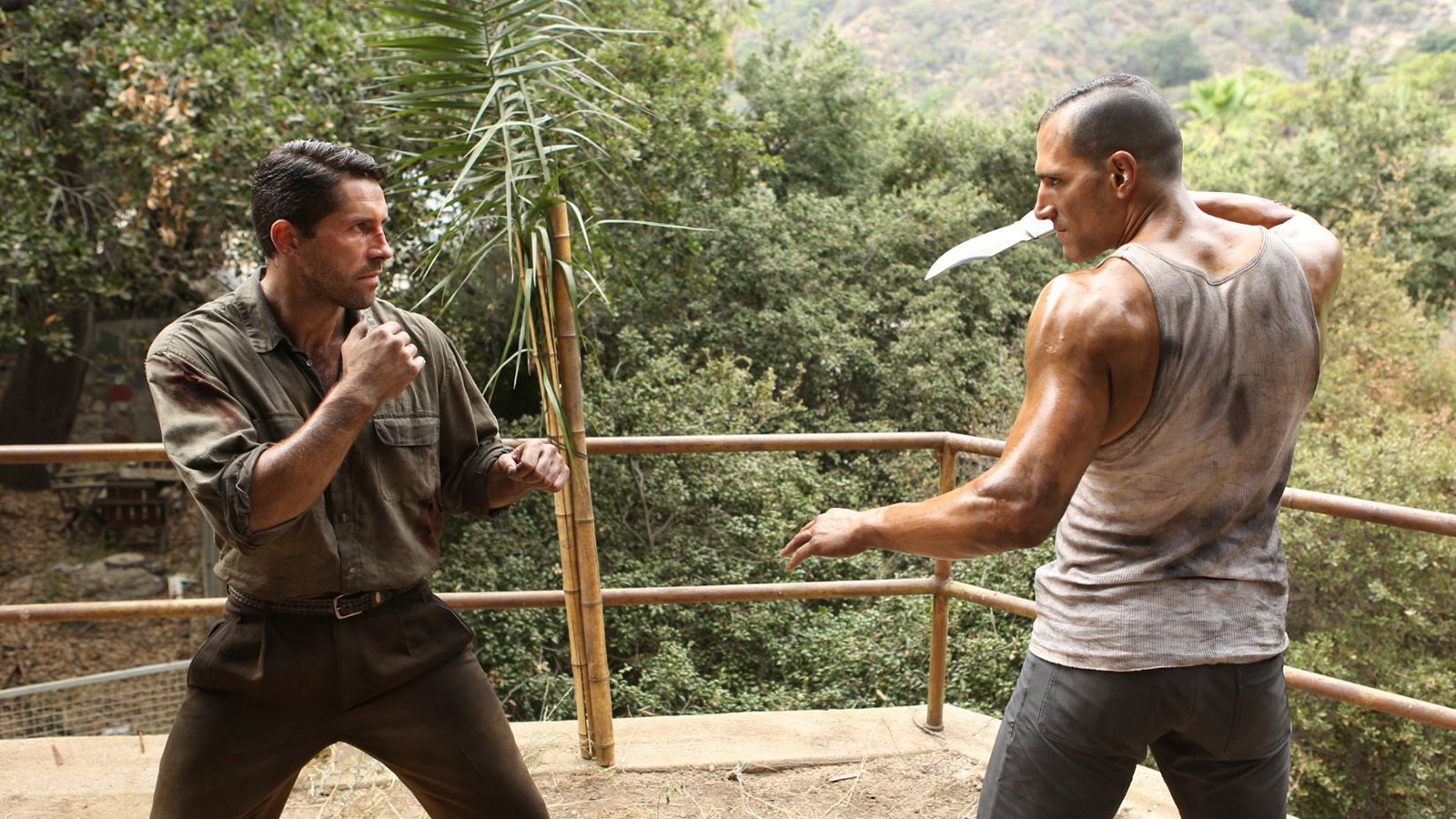 Savage Dog Background