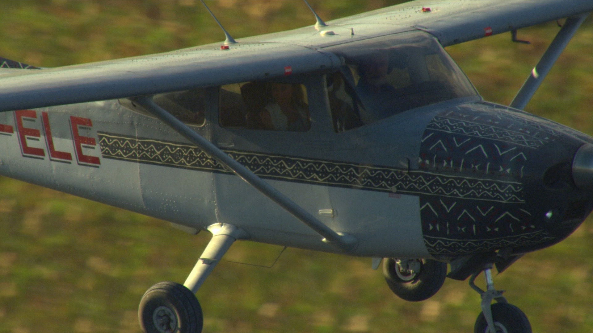 Big Cat Odyssey Background