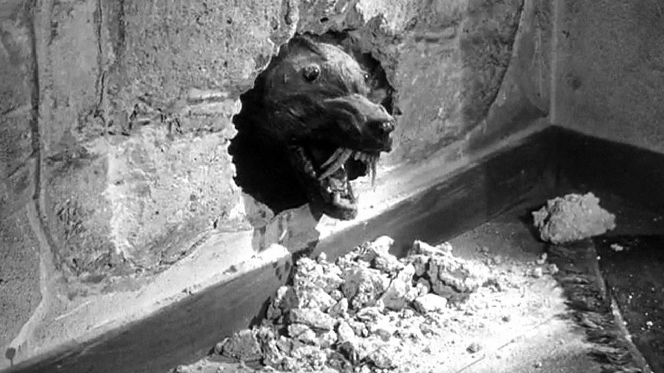 The Killer Shrews Background