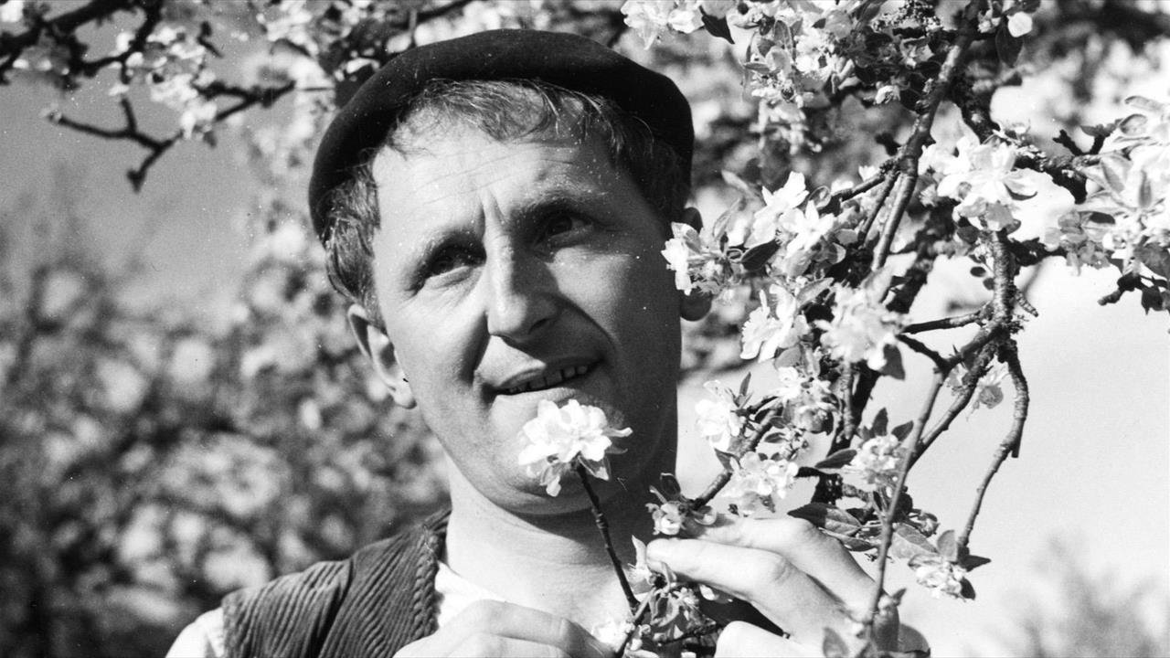 The Prize Background