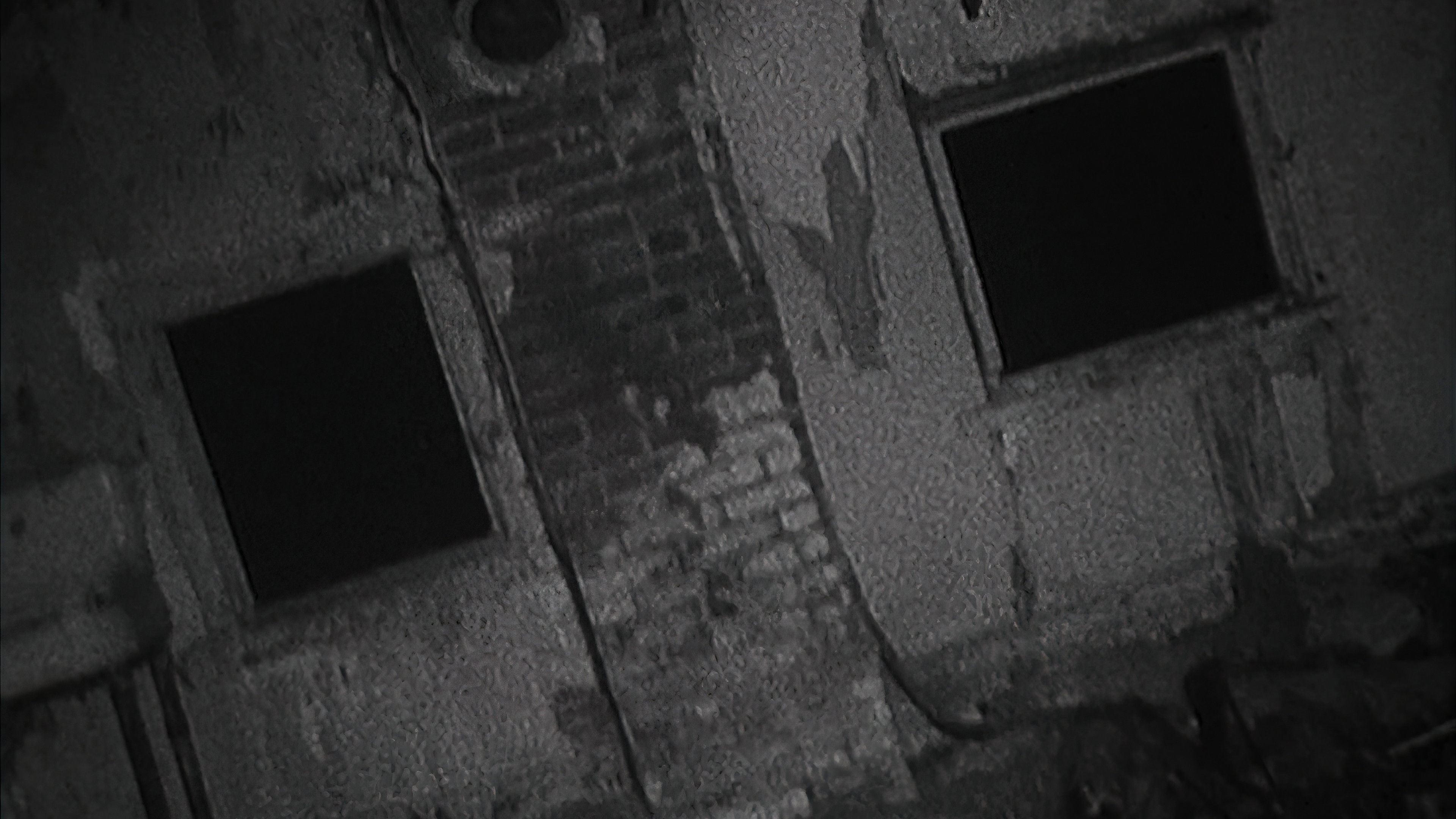 Shadow of the Blair Witch Background