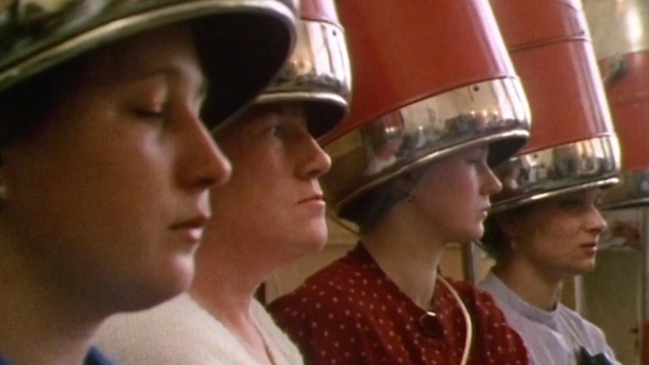 HyperNormalisation Background