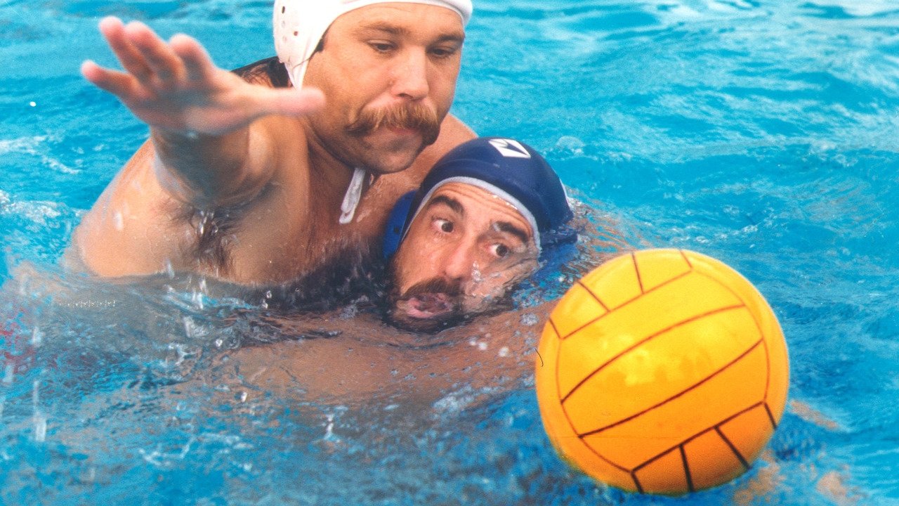 Red Wood Pigeon Background