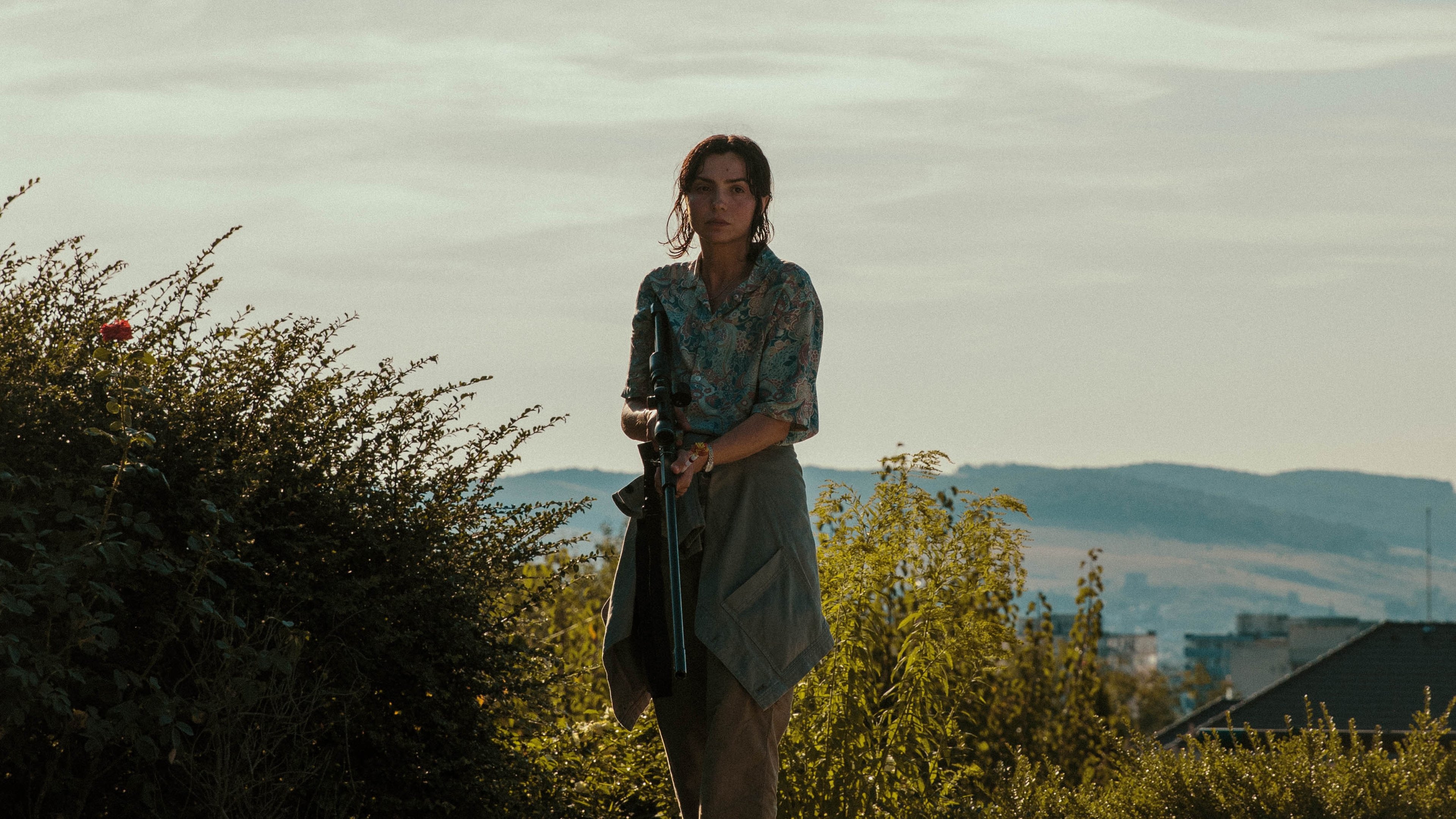 Day of the Tiger Background