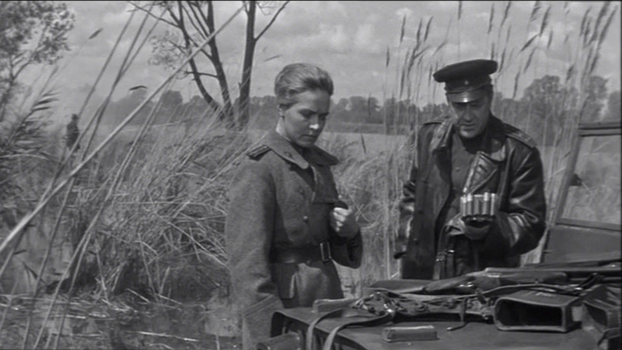 Spring on the Oder Background