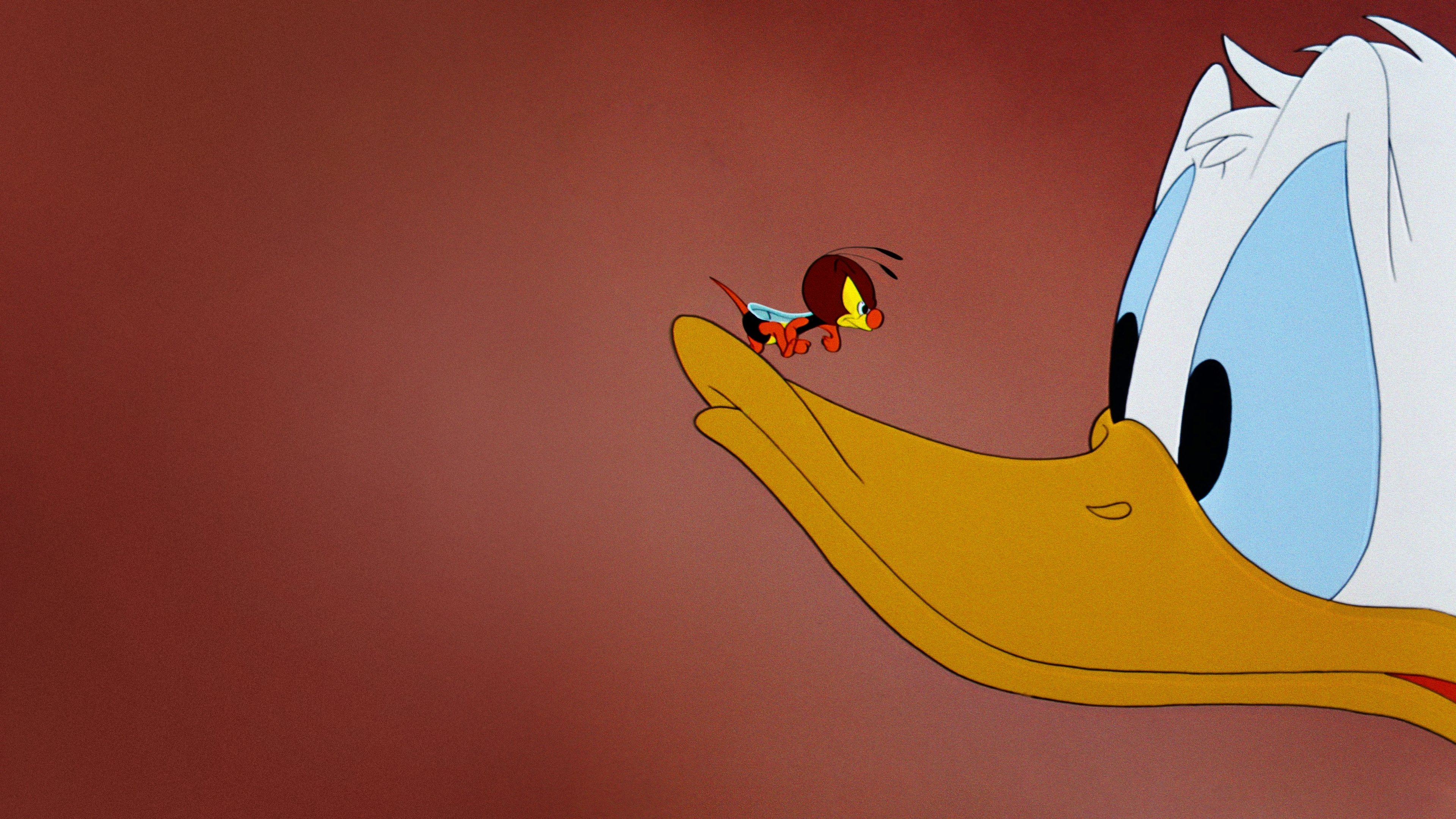 Inferior Decorator Background