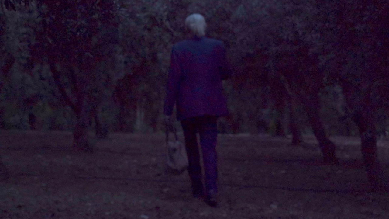 Bloom of Old Trees Background