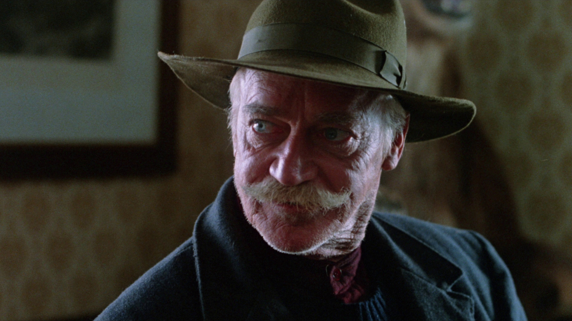 The Grey Fox Background