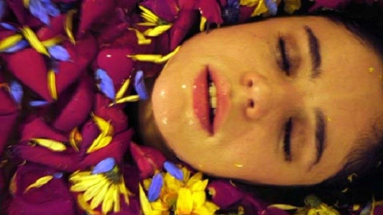 Violet of a Thousand Colors Background