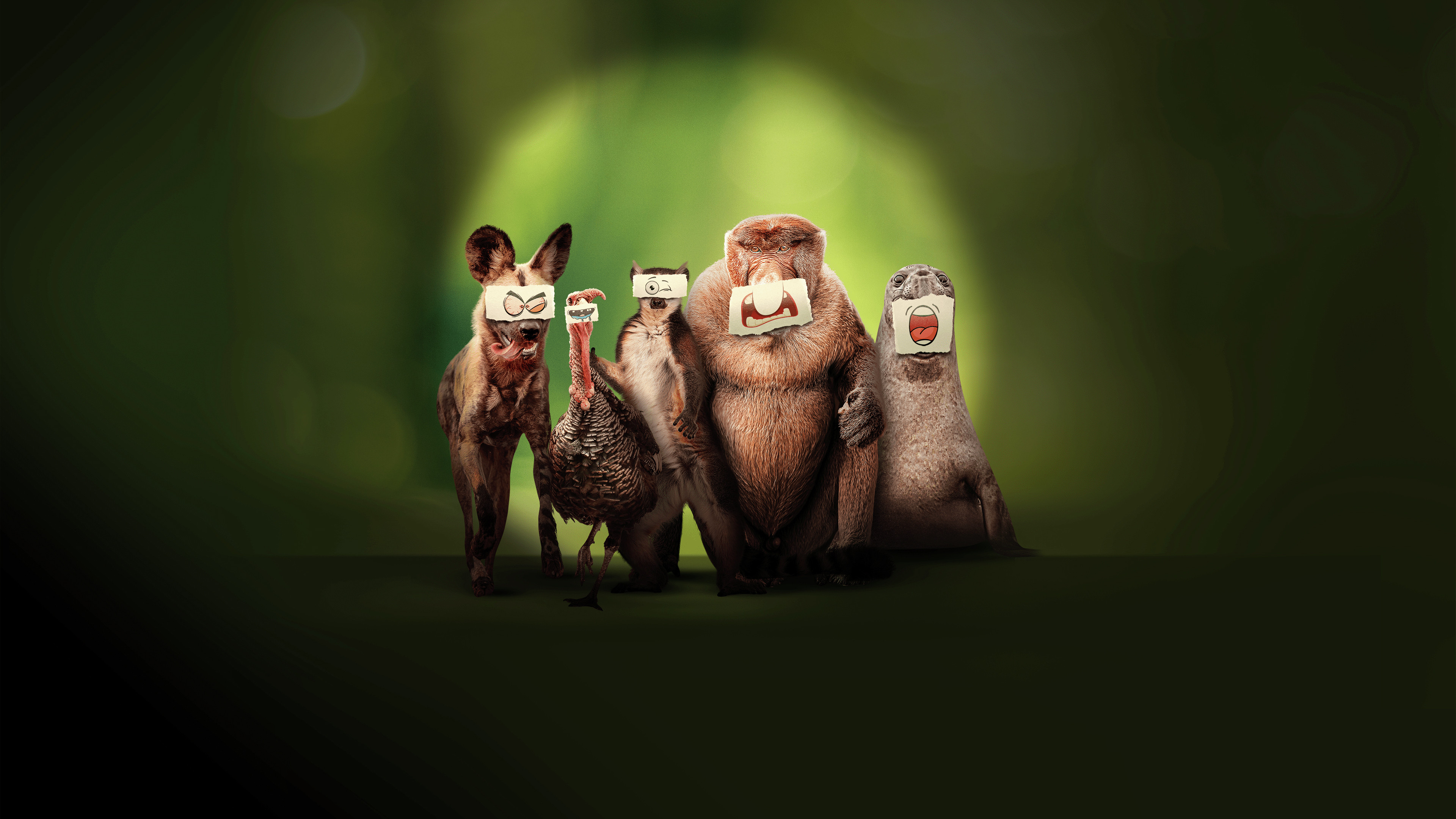 Underdogs Background