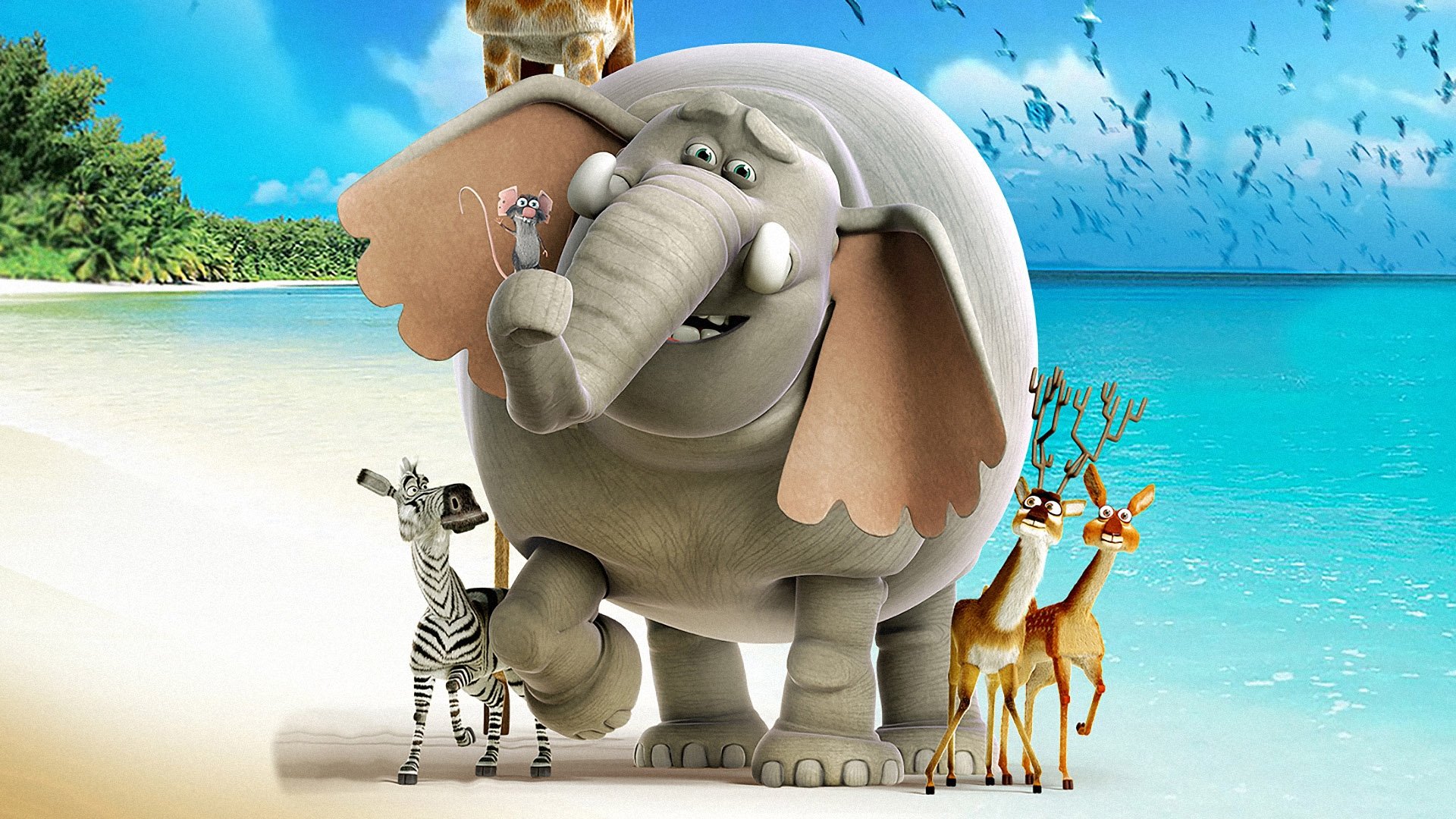 The Elephant King Background